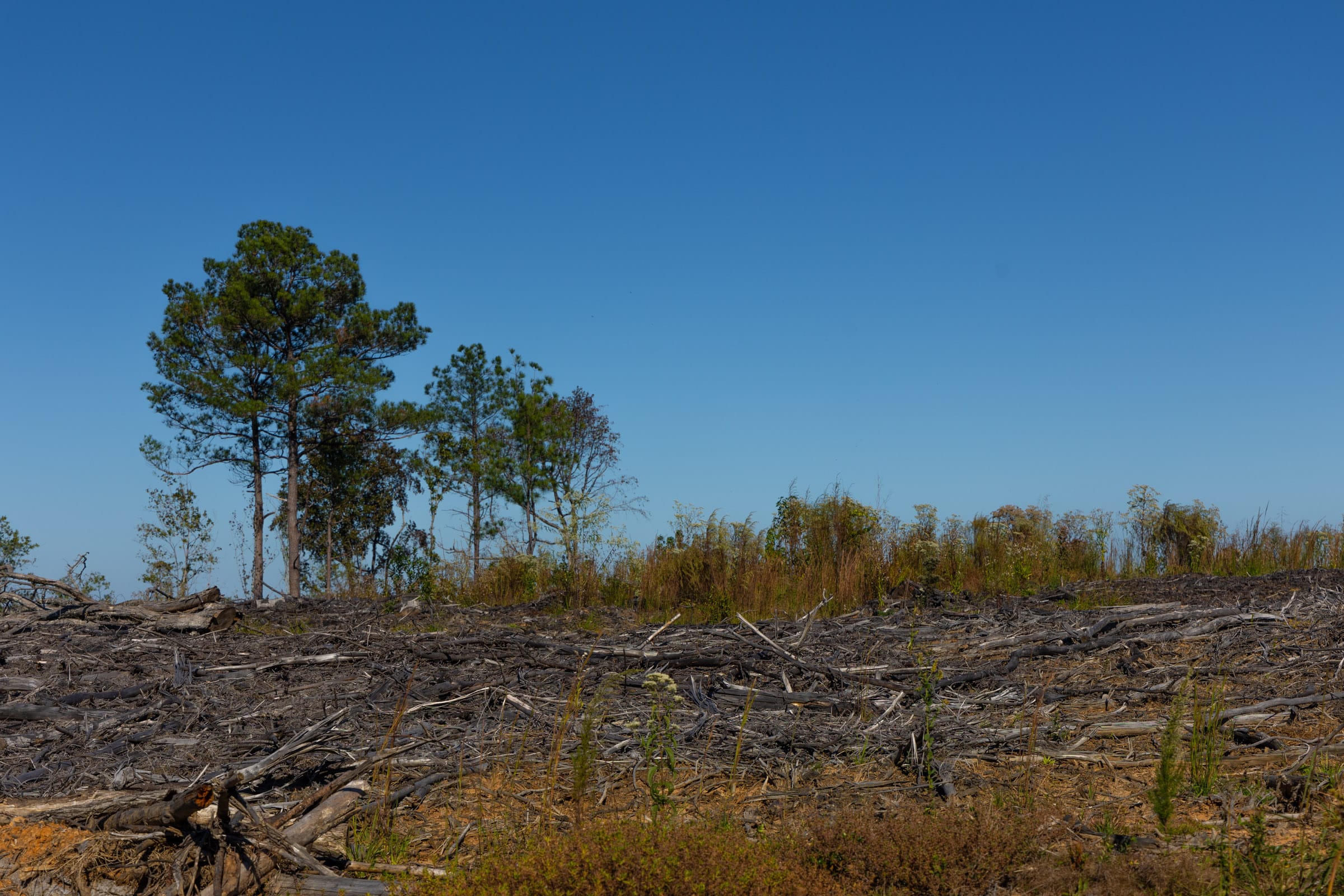 Meyer’s Ridge Tract 25 photo 7