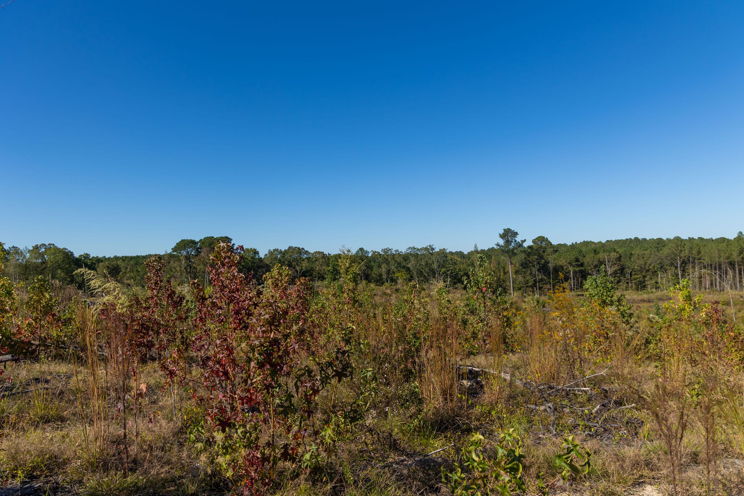 Meyer’s Ridge Tract 25 photo 6