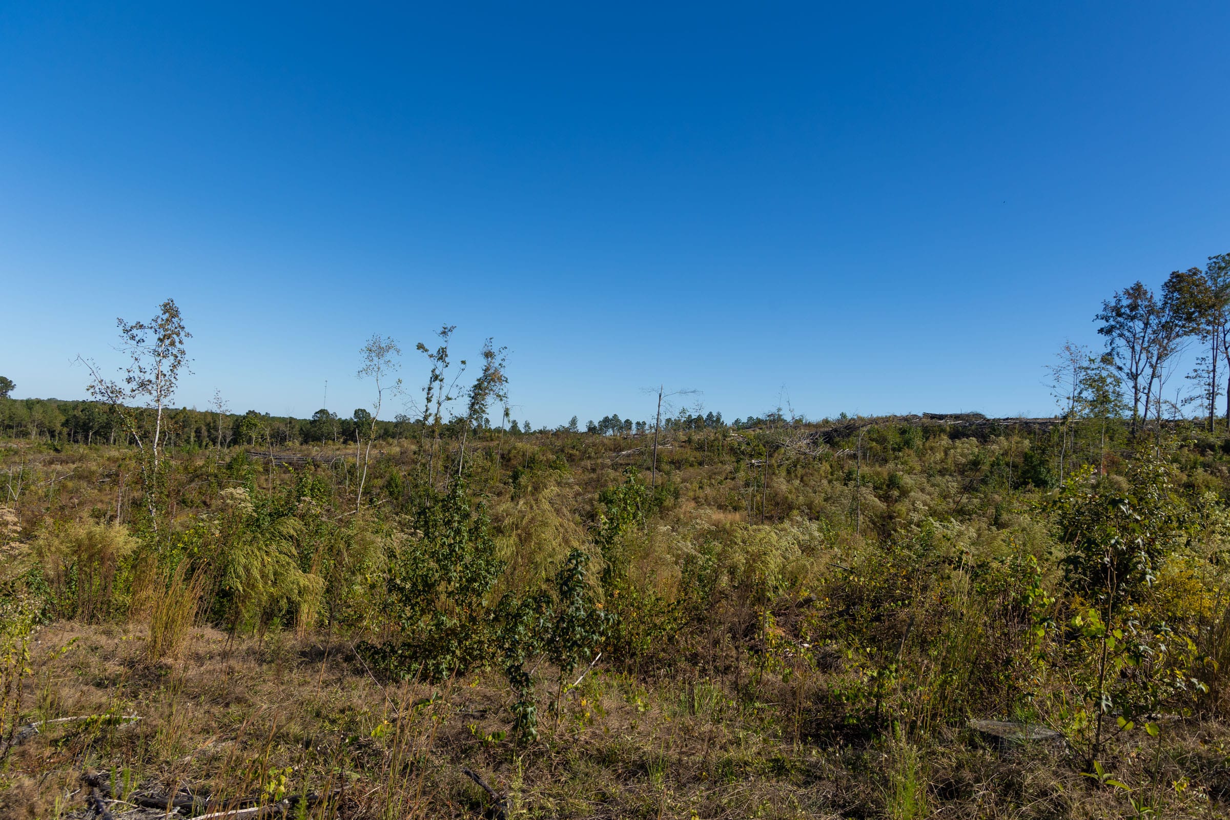 Meyer’s Ridge Tract 25 photo 5