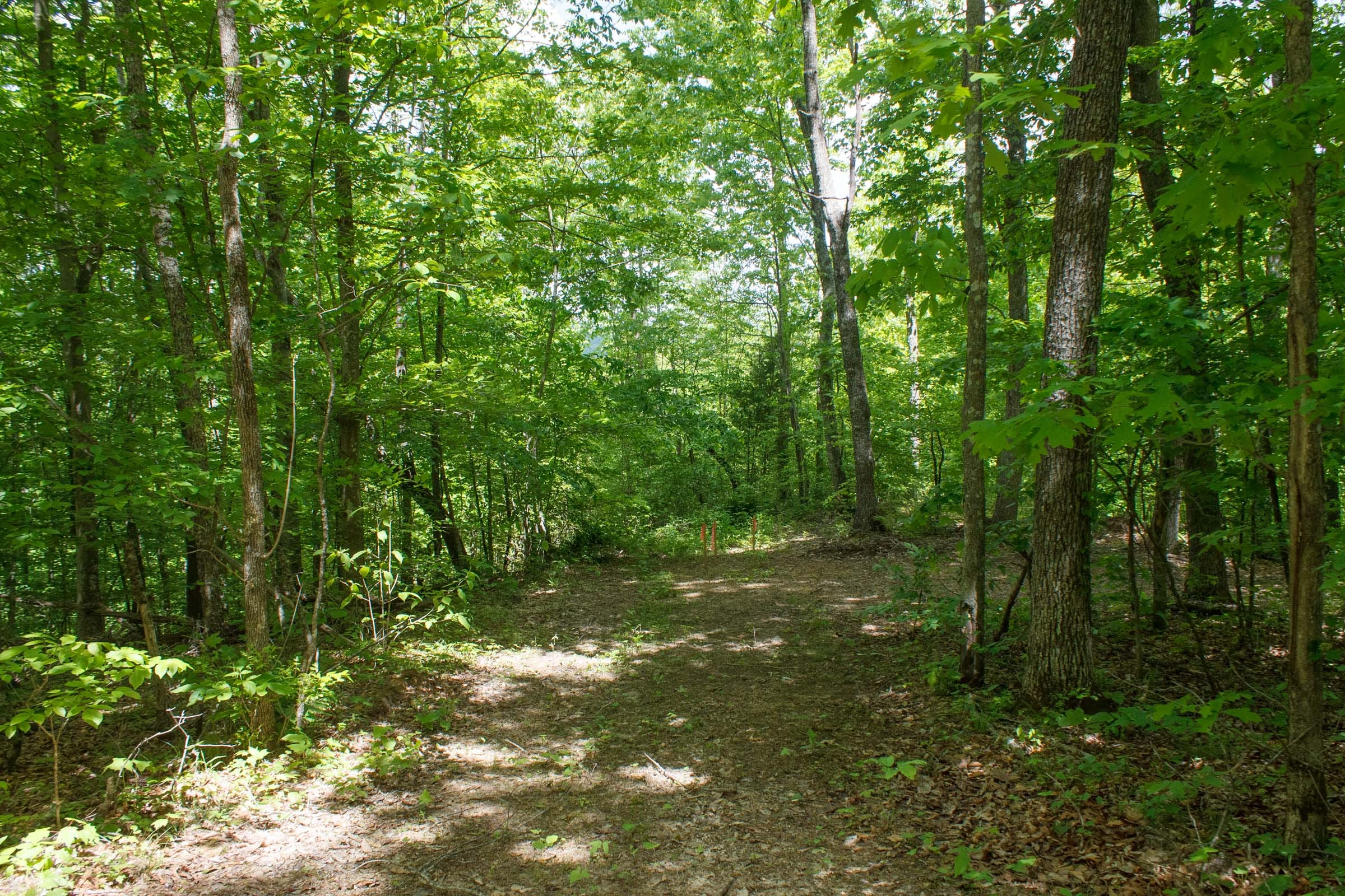 Riverbend Tract 14 photo 1