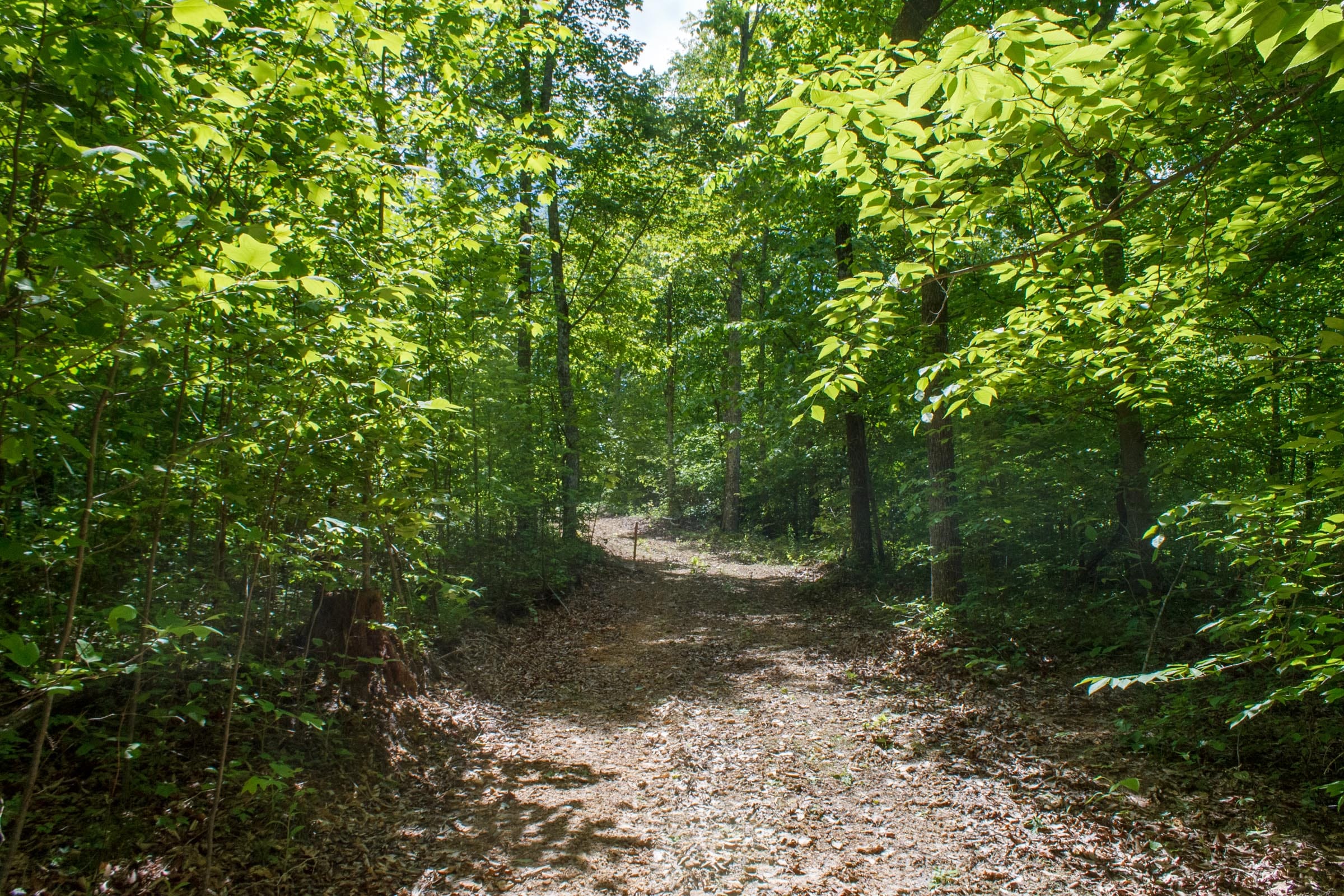 Riverbend Tract 14 photo 2