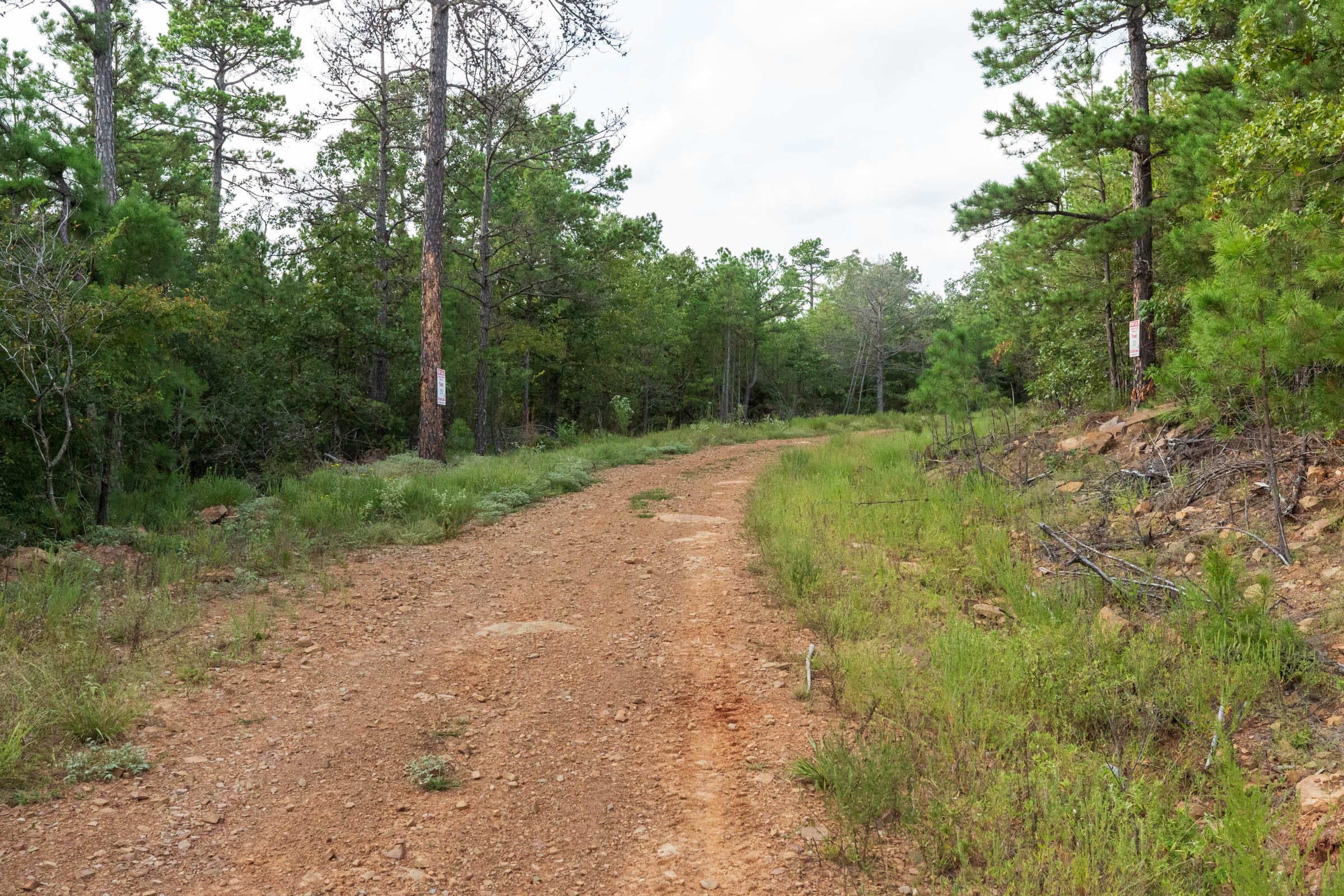 Stone Bridge Phase V Tract 392 photo 5