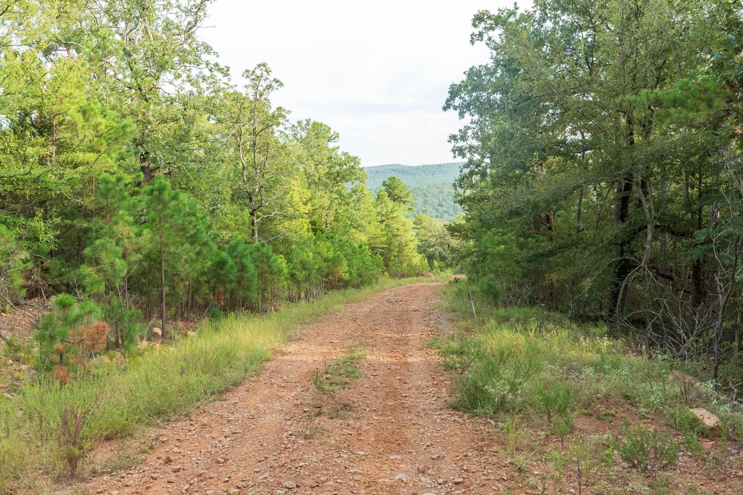 Stone Bridge Phase V Tract 392 photo 10