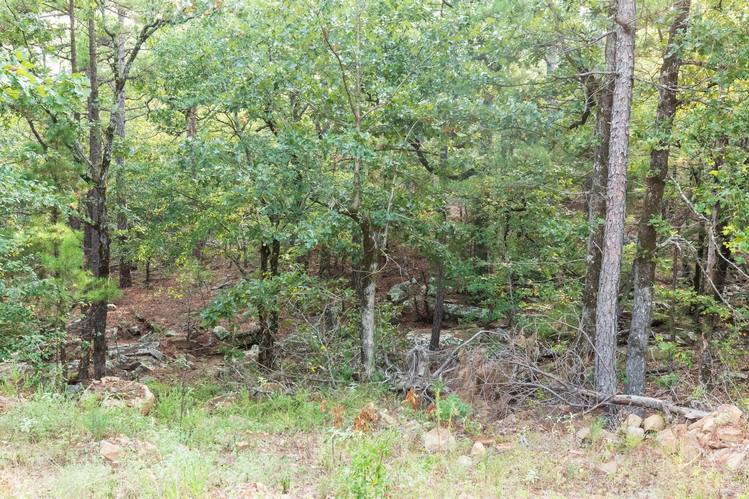 Stone Bridge Phase V Tract 392 photo 2