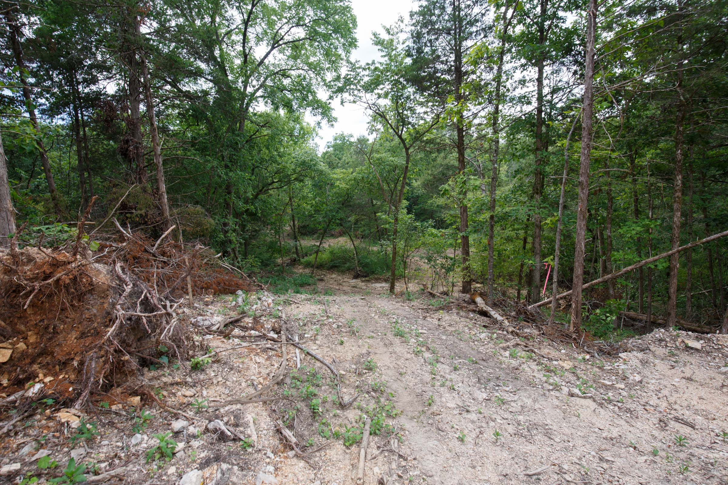 Wildwood Tract 15 photo 4
