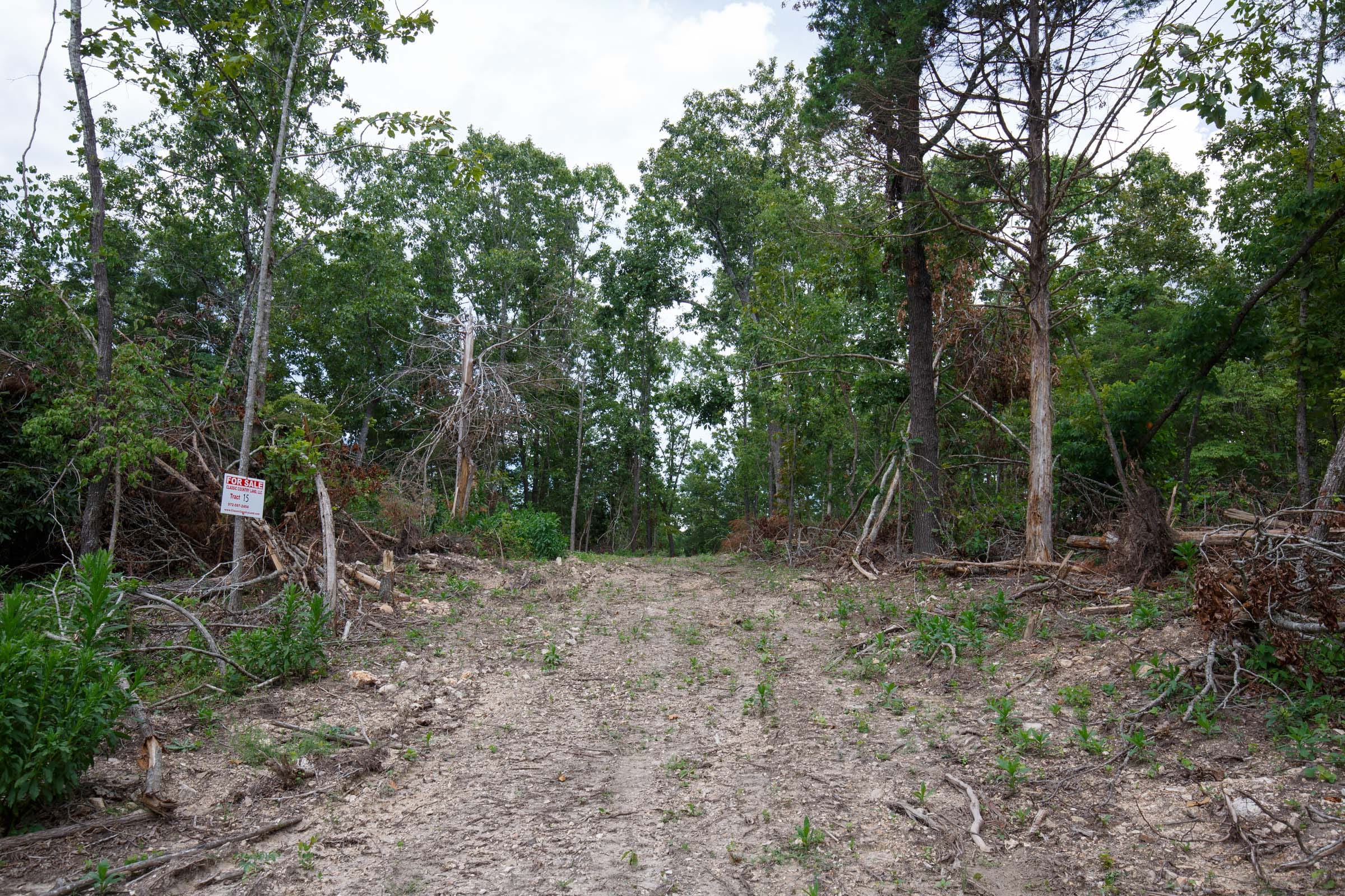 Wildwood Tract 15 photo 5