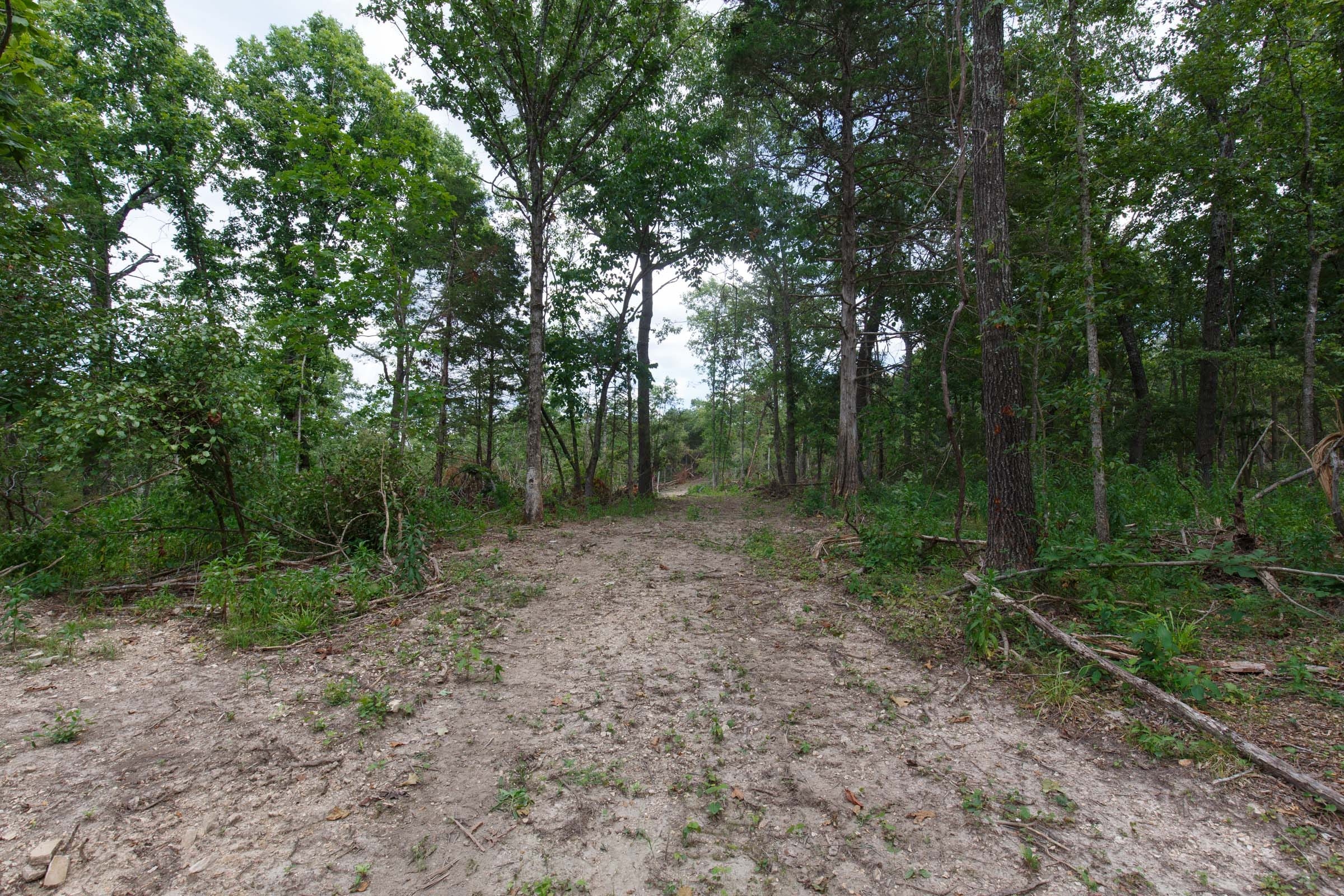 Wildwood Tract 15 photo 2