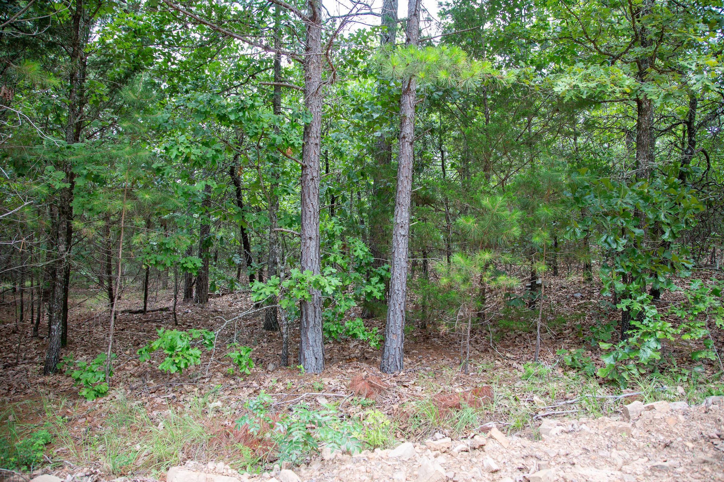 Tyler Stone Ranch Tract 45 photo 2