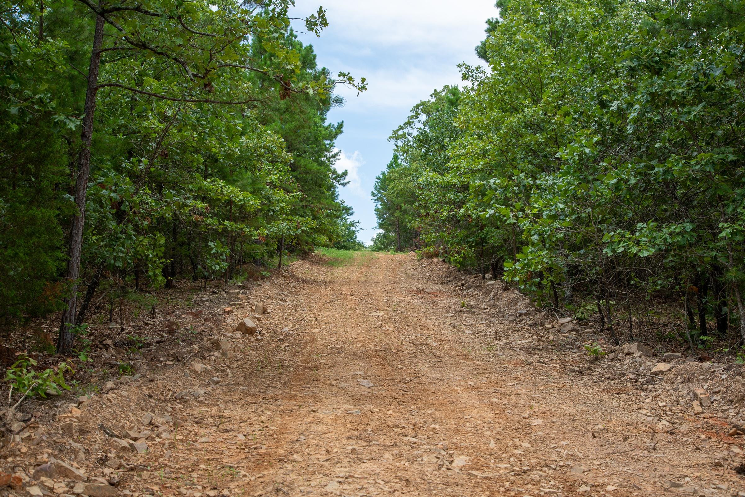 Tyler Stone Ranch Tract 45 photo 3