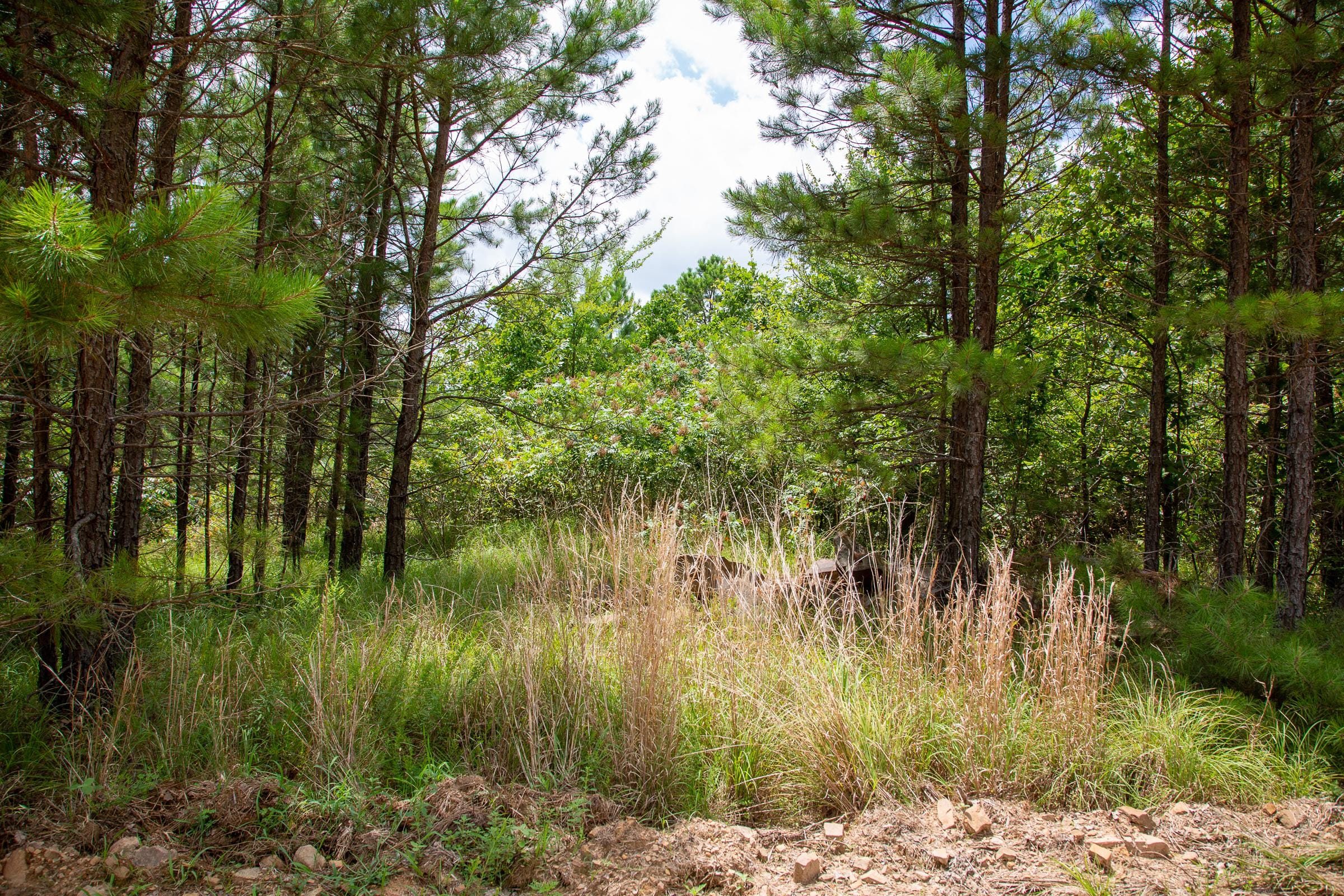 Tyler Stone Ranch Tract 45 photo 1