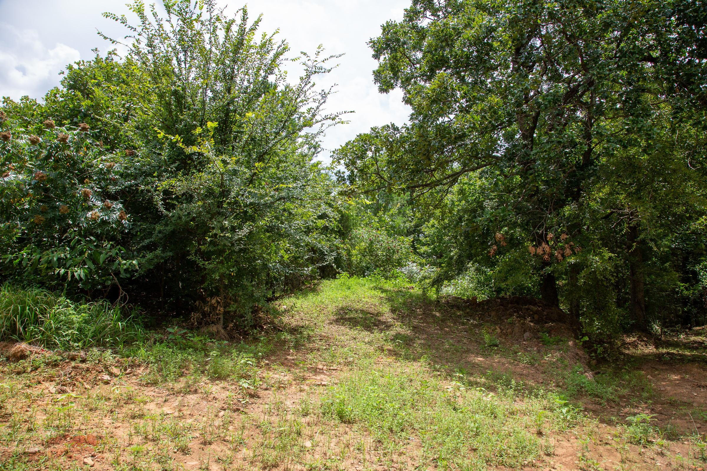 Tyler Stone Ranch Tract 45 photo 4