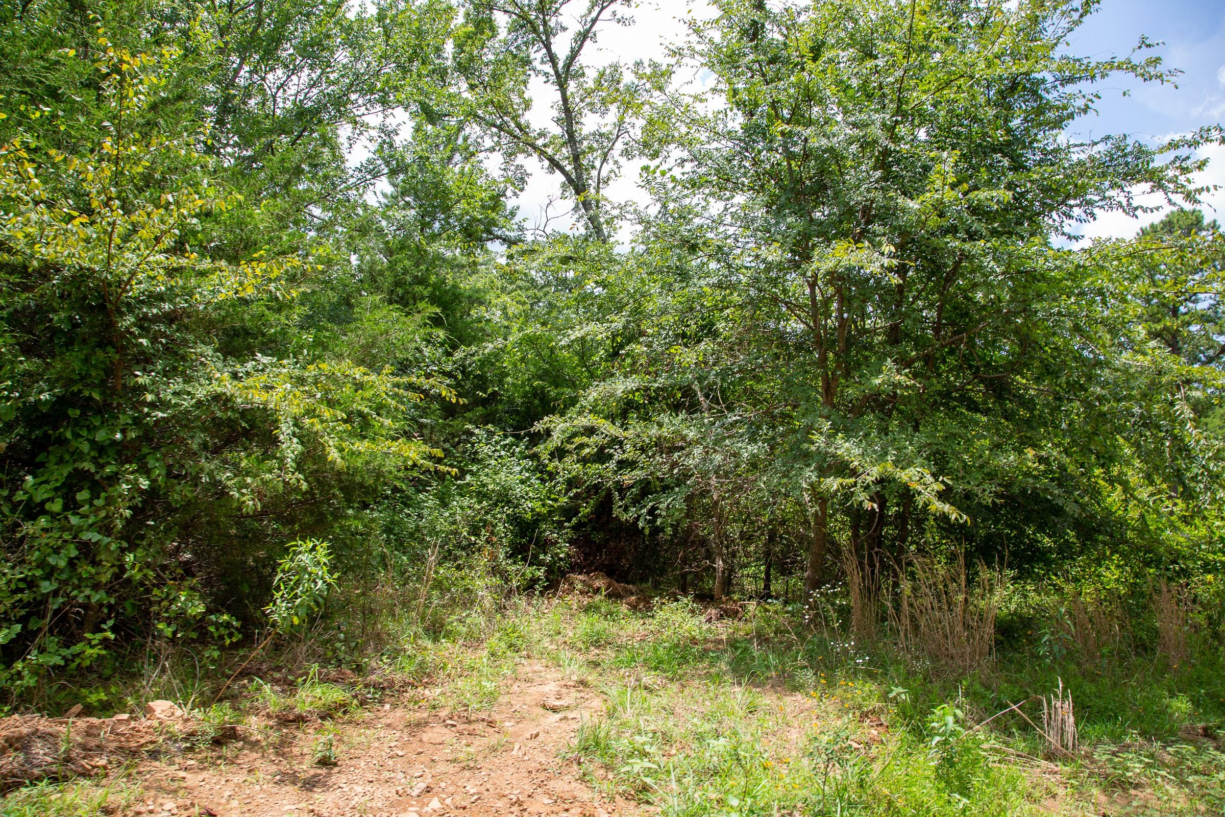 Tyler Stone Ranch Tract 45 photo 6