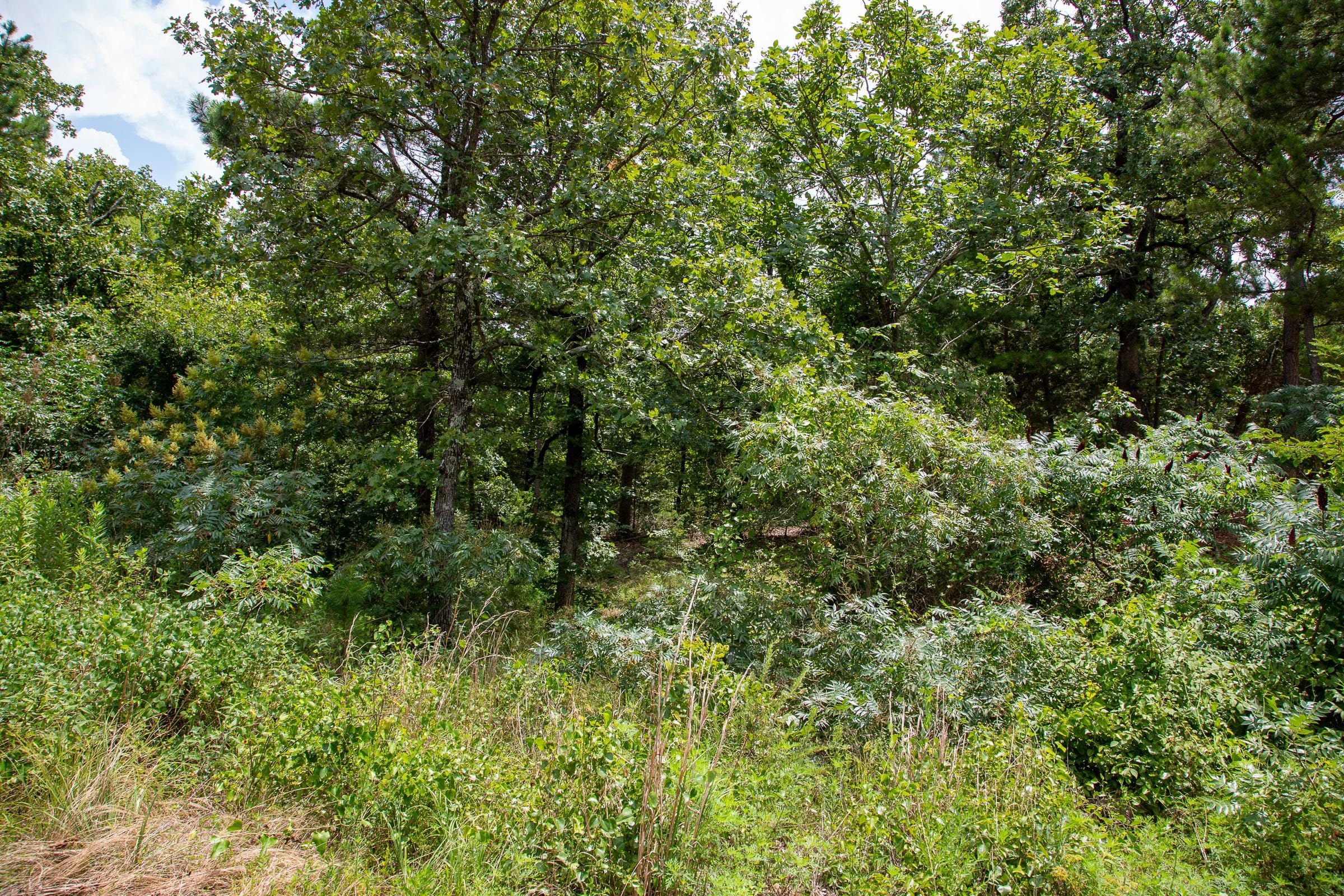 Tyler Stone Ranch Tract 45 photo 7