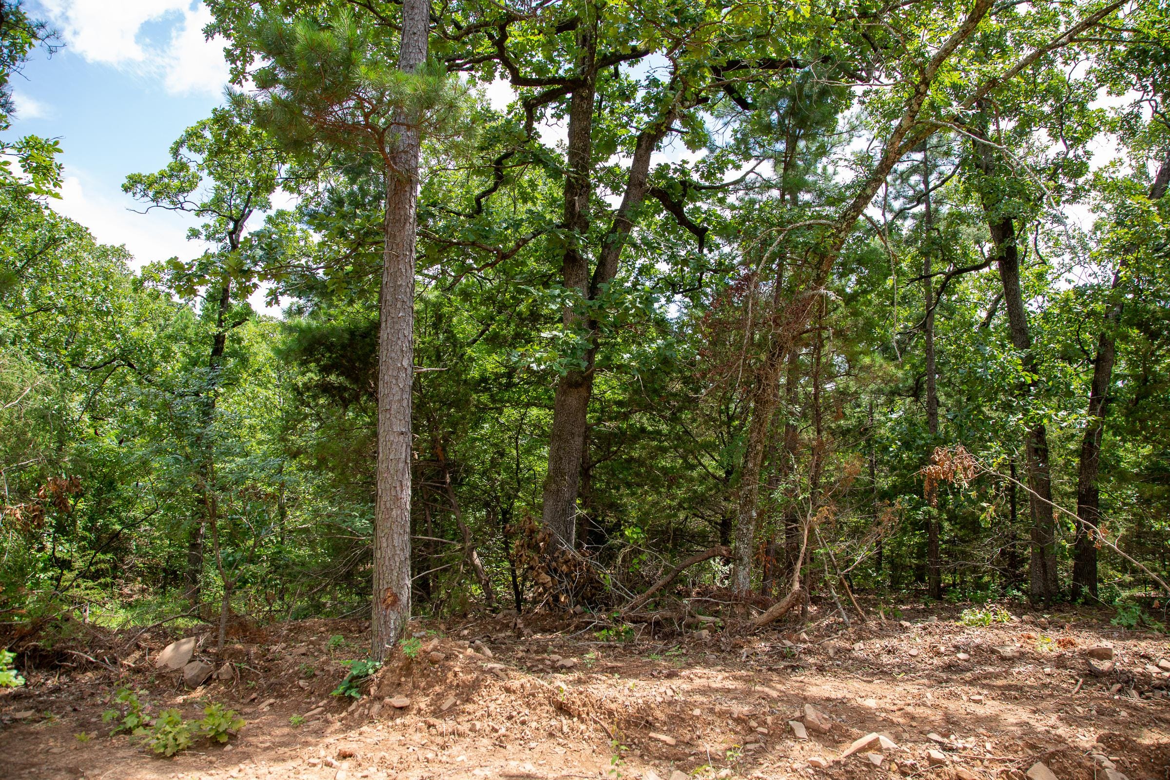 Tyler Stone Ranch Tract 45 photo 8
