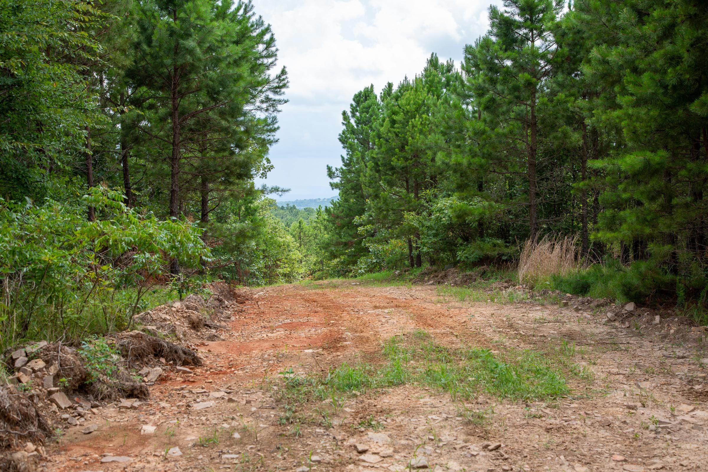 Tyler Stone Ranch Tract 45 photo 9