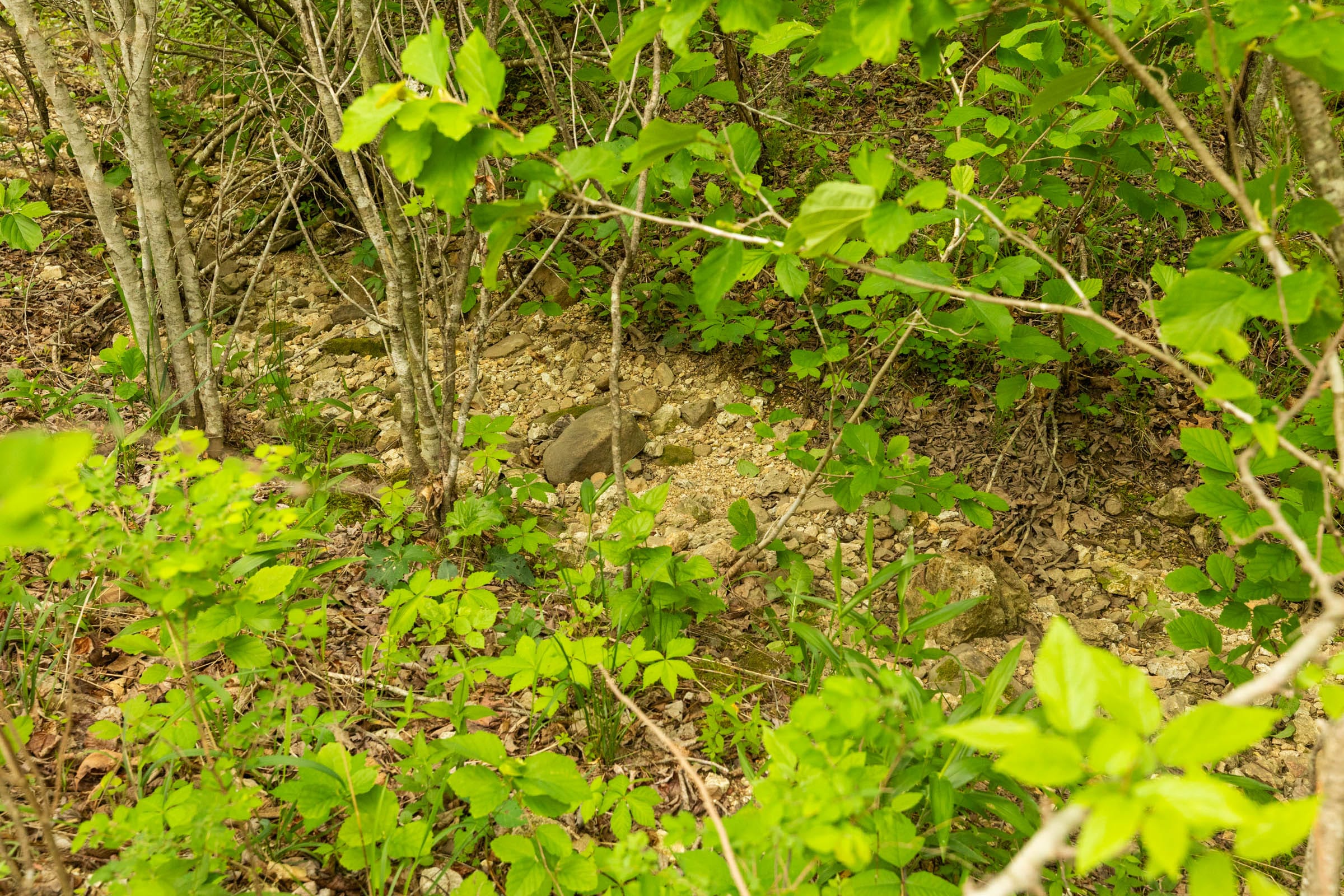 Double S Ranch Tract 3 photo 16