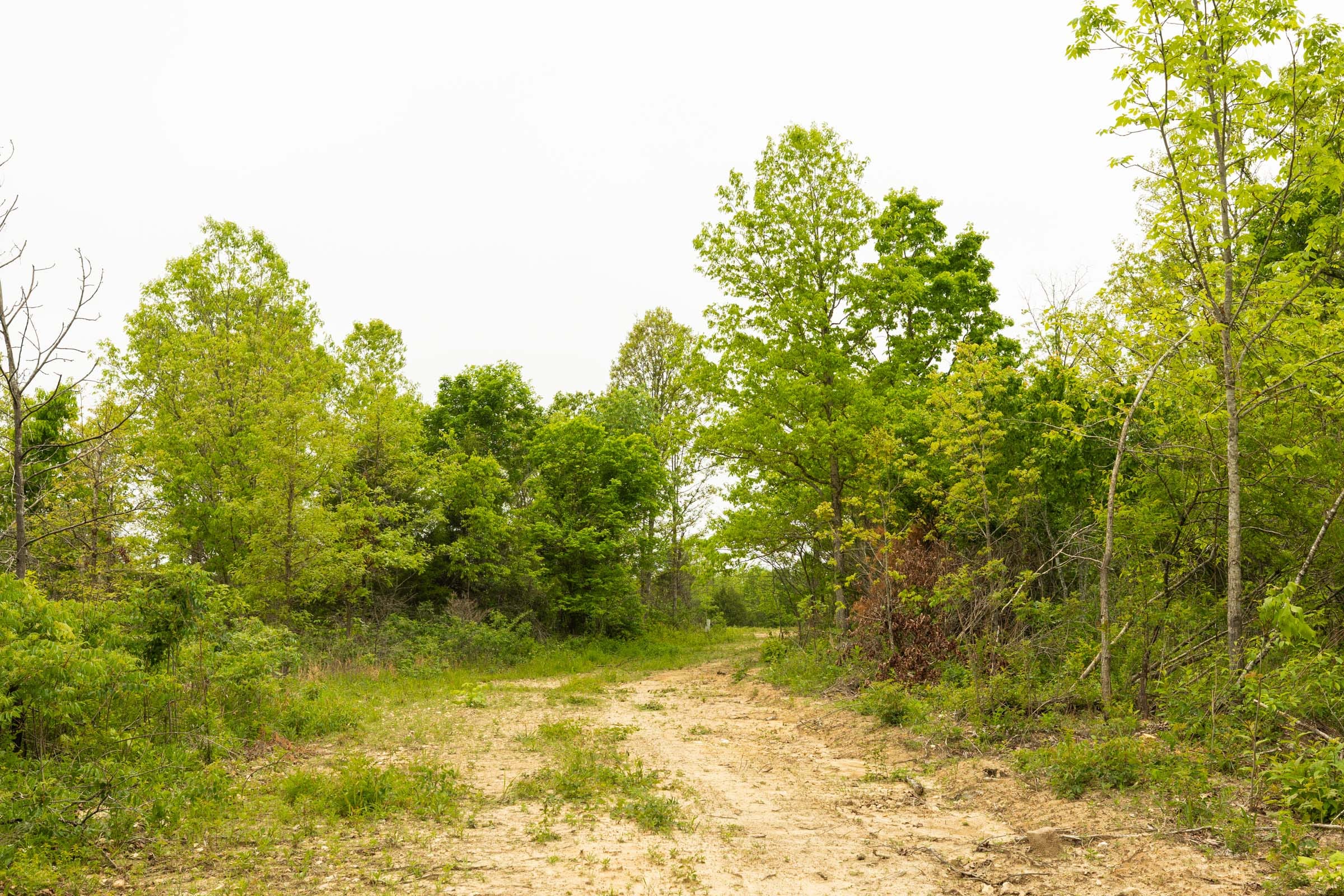 Double S Ranch Tract 3 photo 14