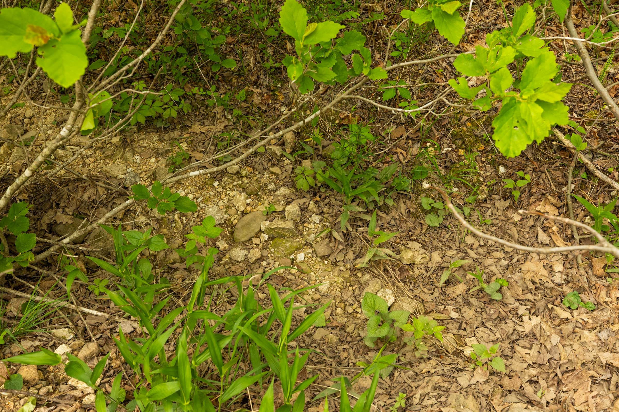 Double S Ranch Tract 3 photo 15