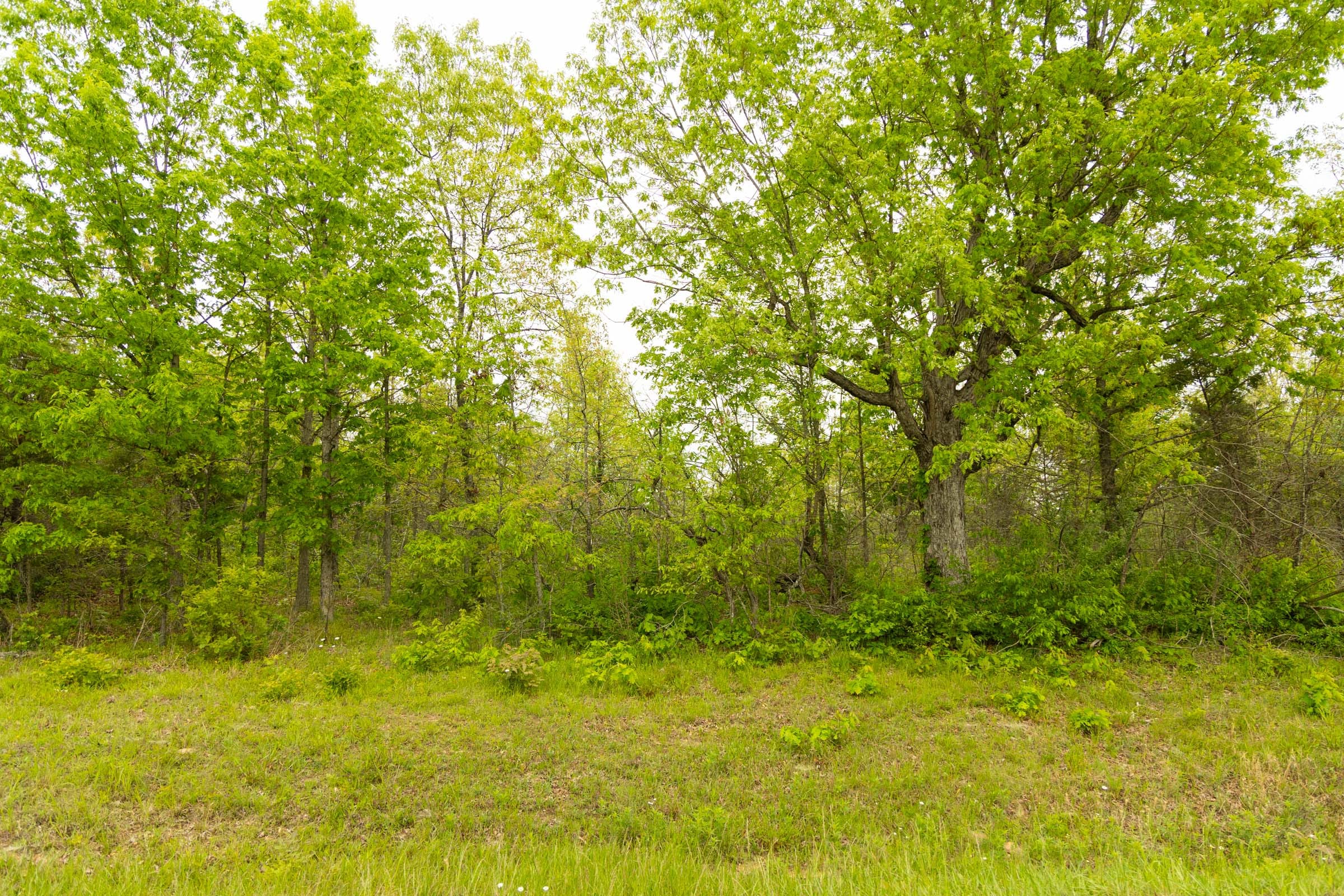 Double S Ranch Tract 3 photo 11