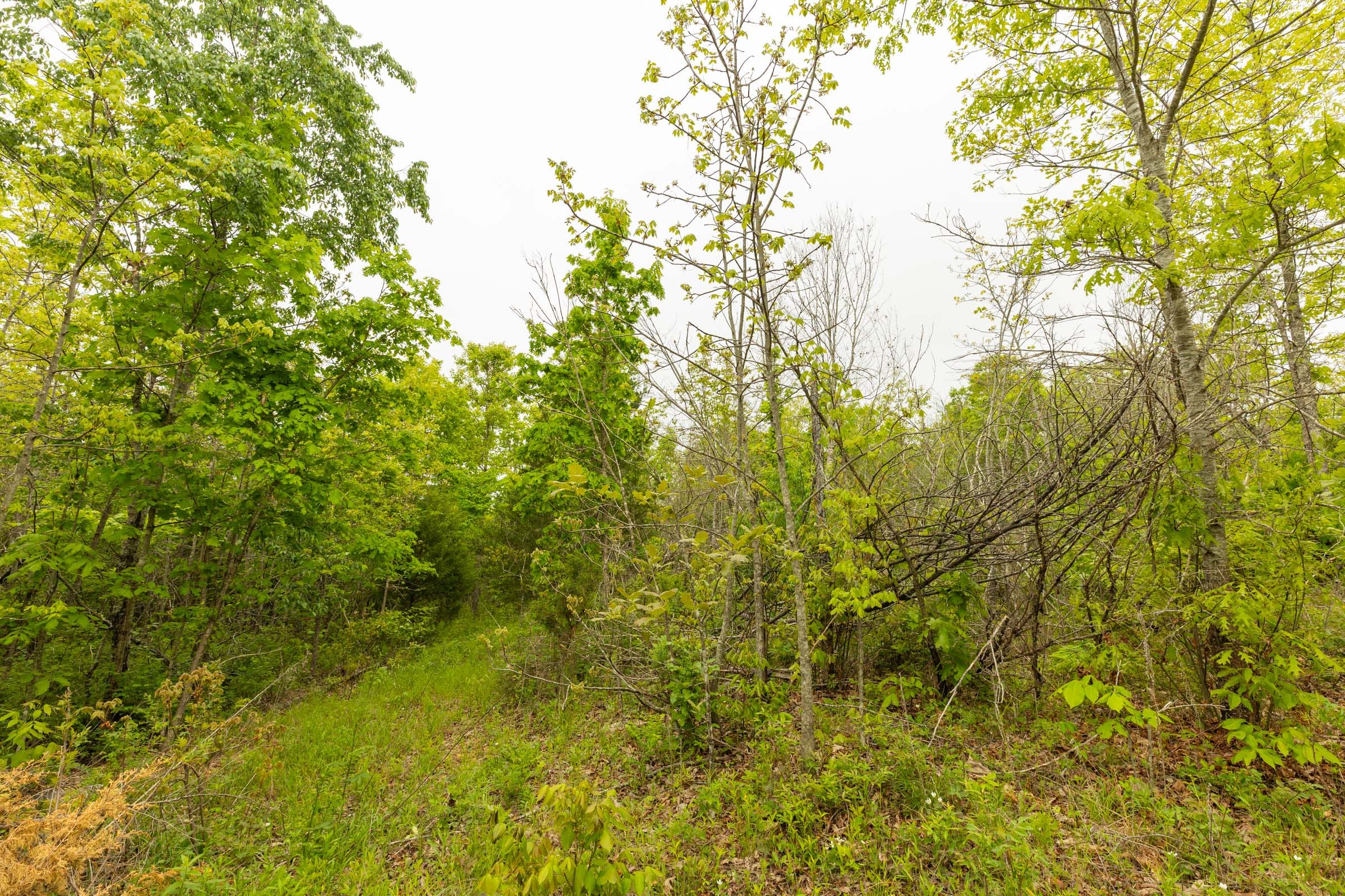 Double S Ranch Tract 3 photo 9