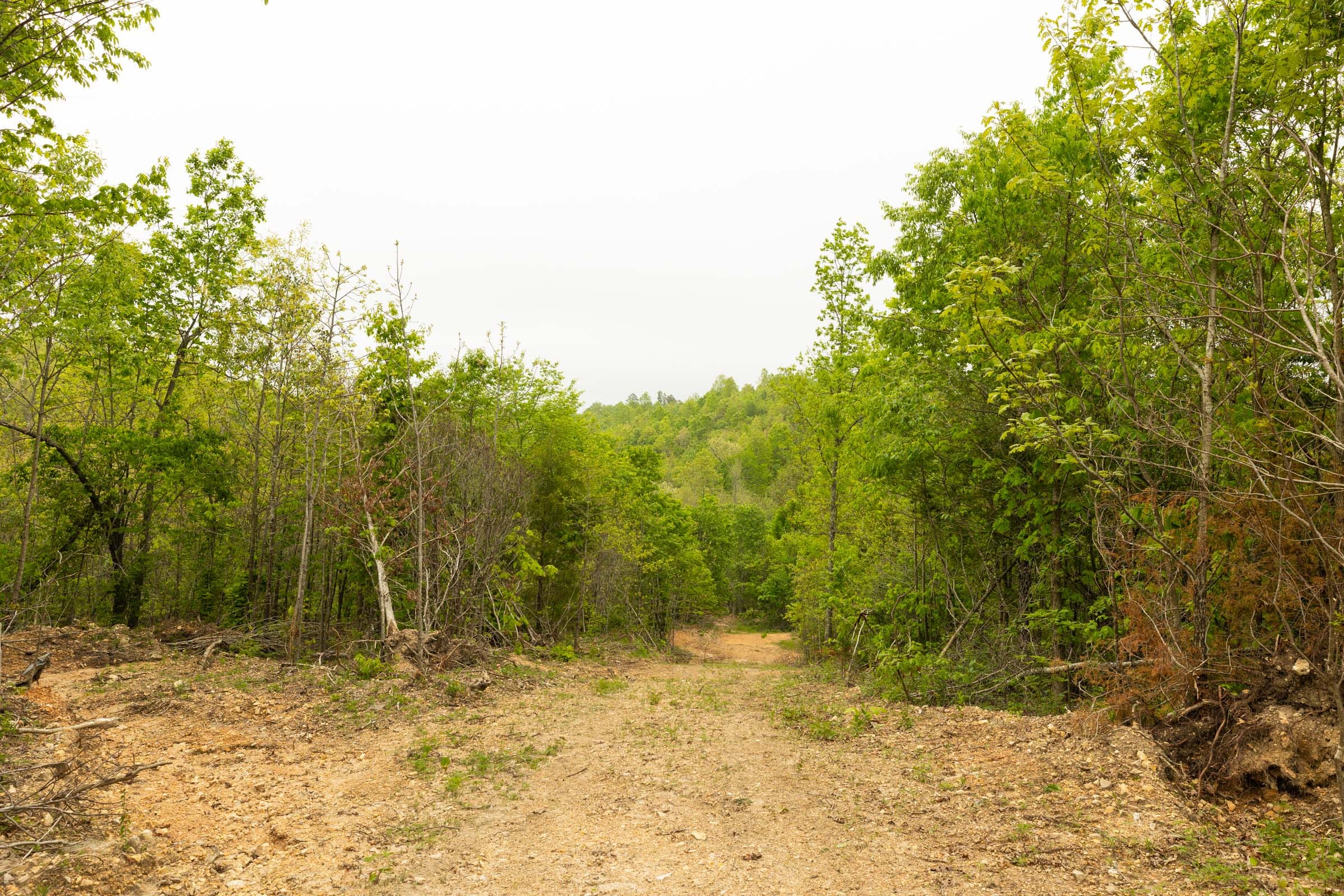 Double S Ranch Tract 3 photo 6
