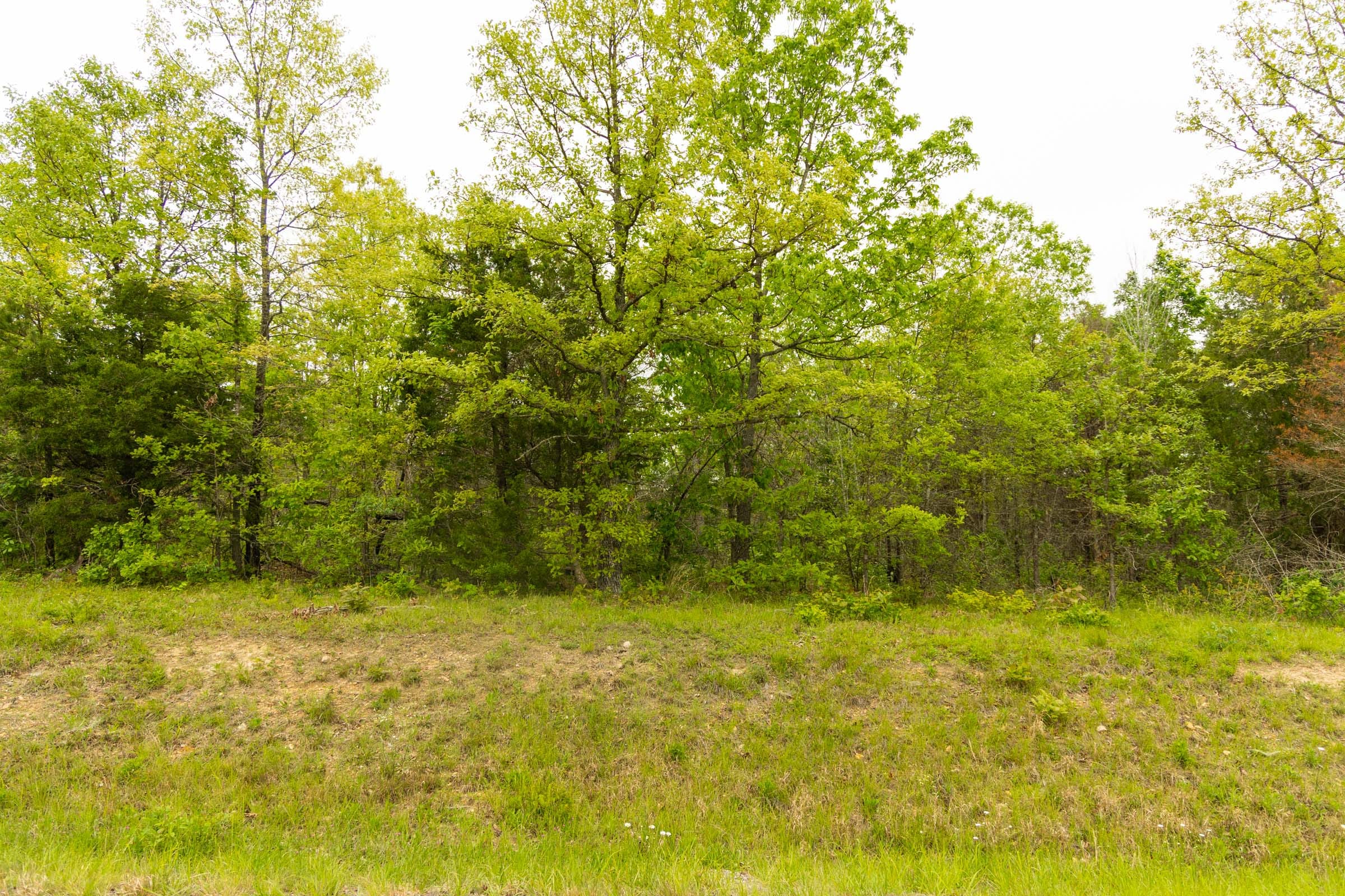 Double S Ranch Tract 3 photo 3
