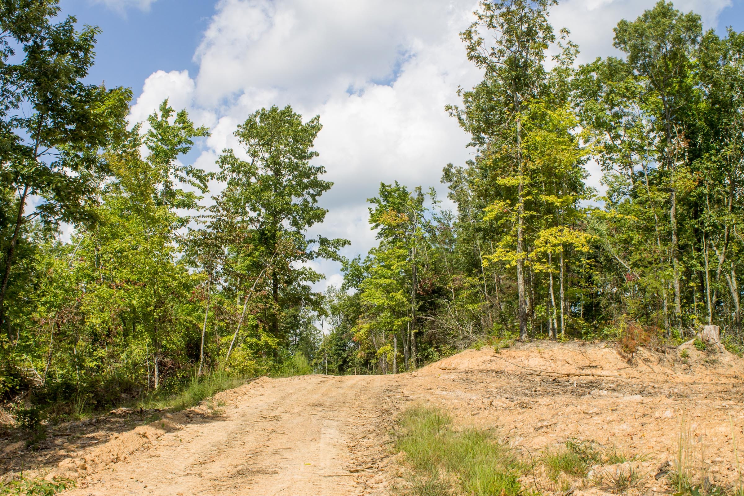 Buck Run Ridge Tract 8 photo 2