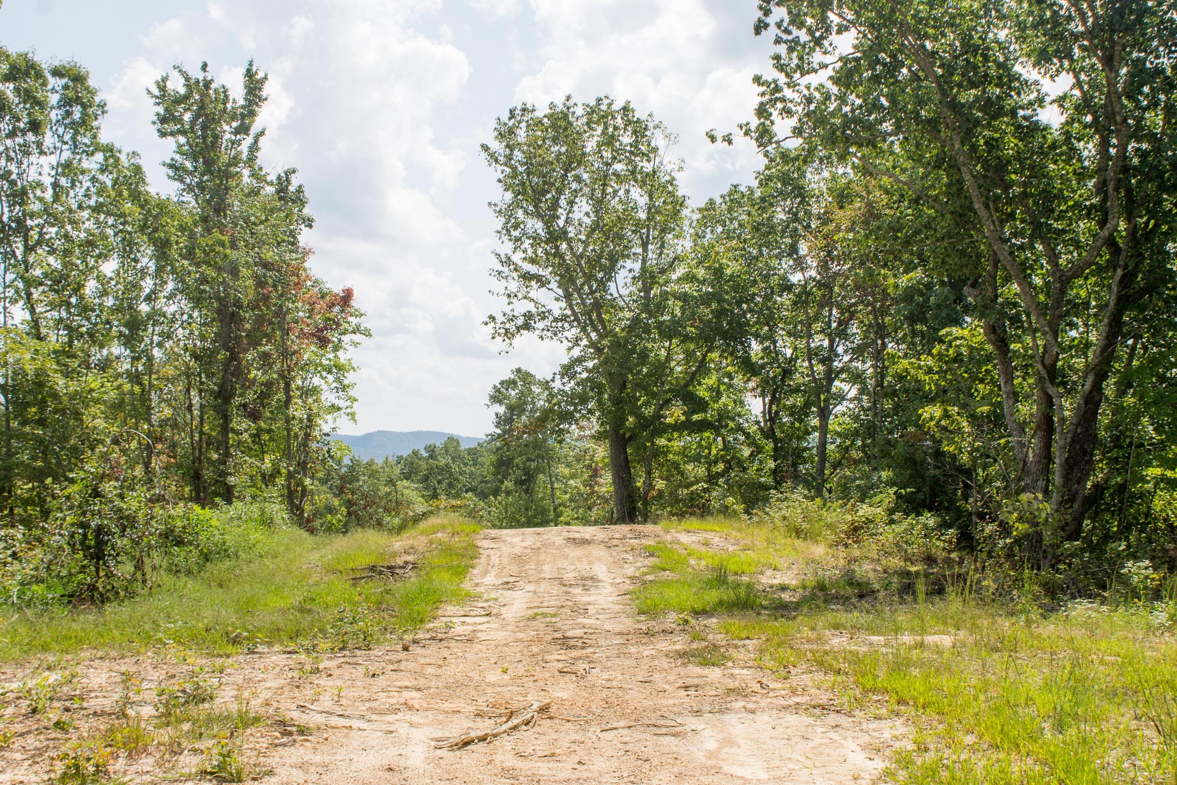 Buck Run Ridge Tract 8 photo 3