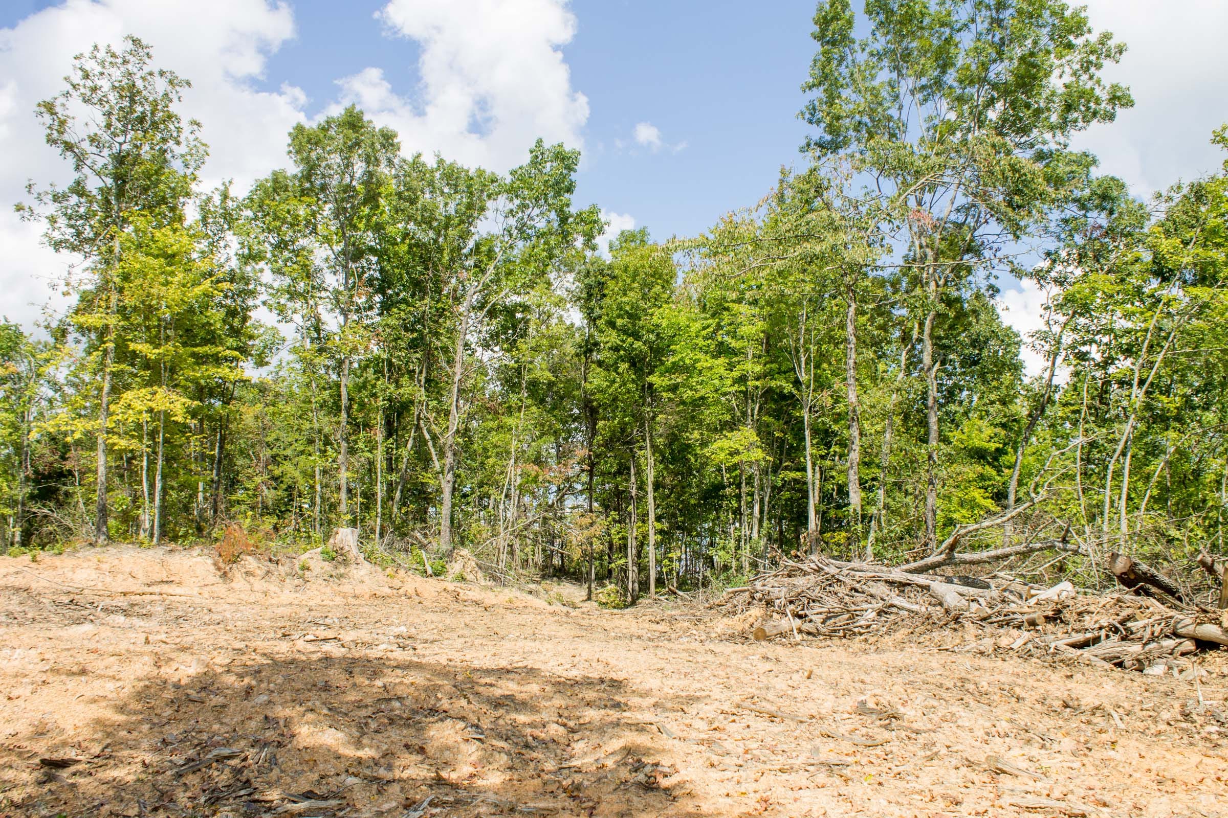Buck Run Ridge Tract 8 photo 4
