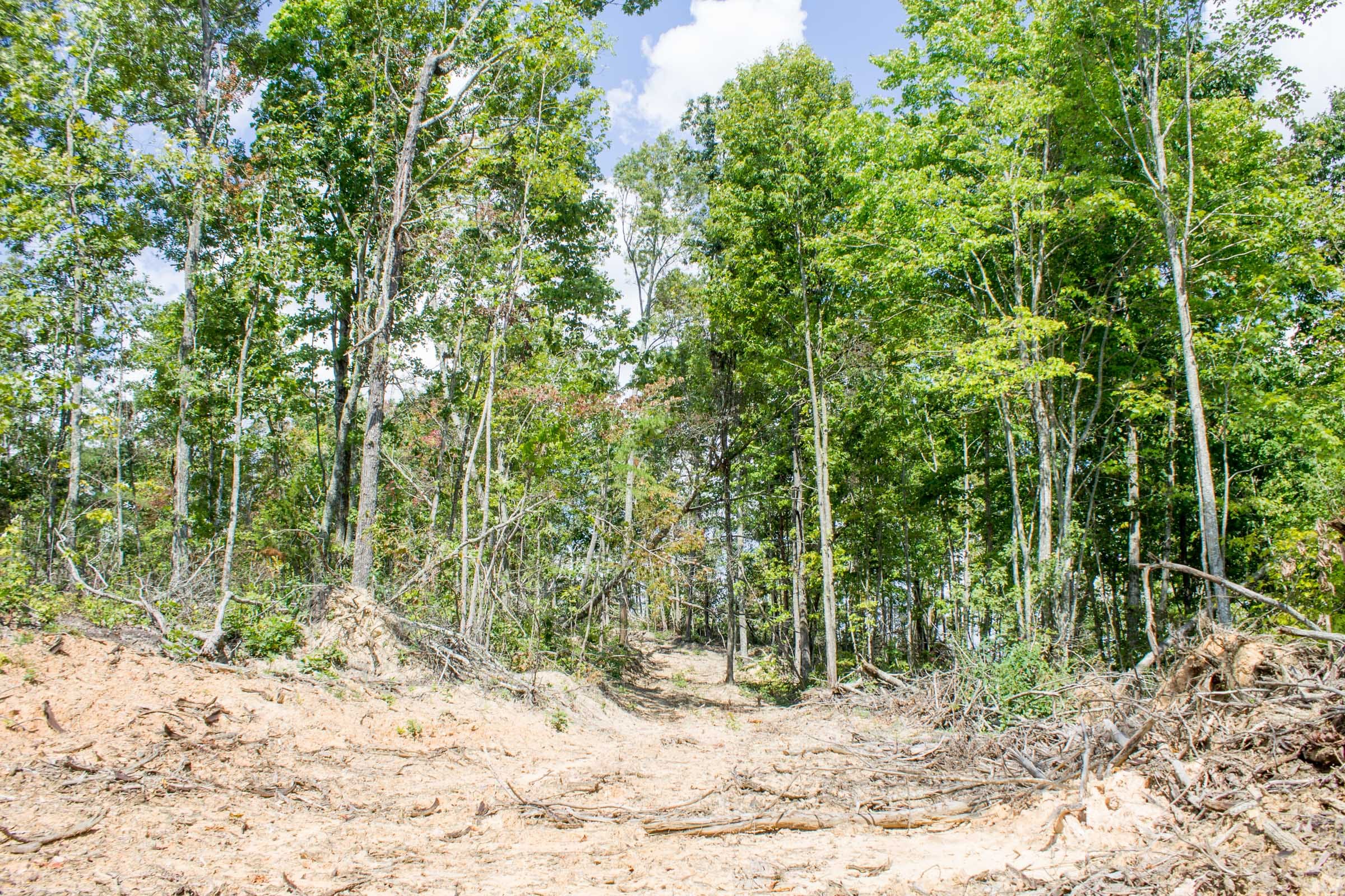 Buck Run Ridge Tract 8 photo 6