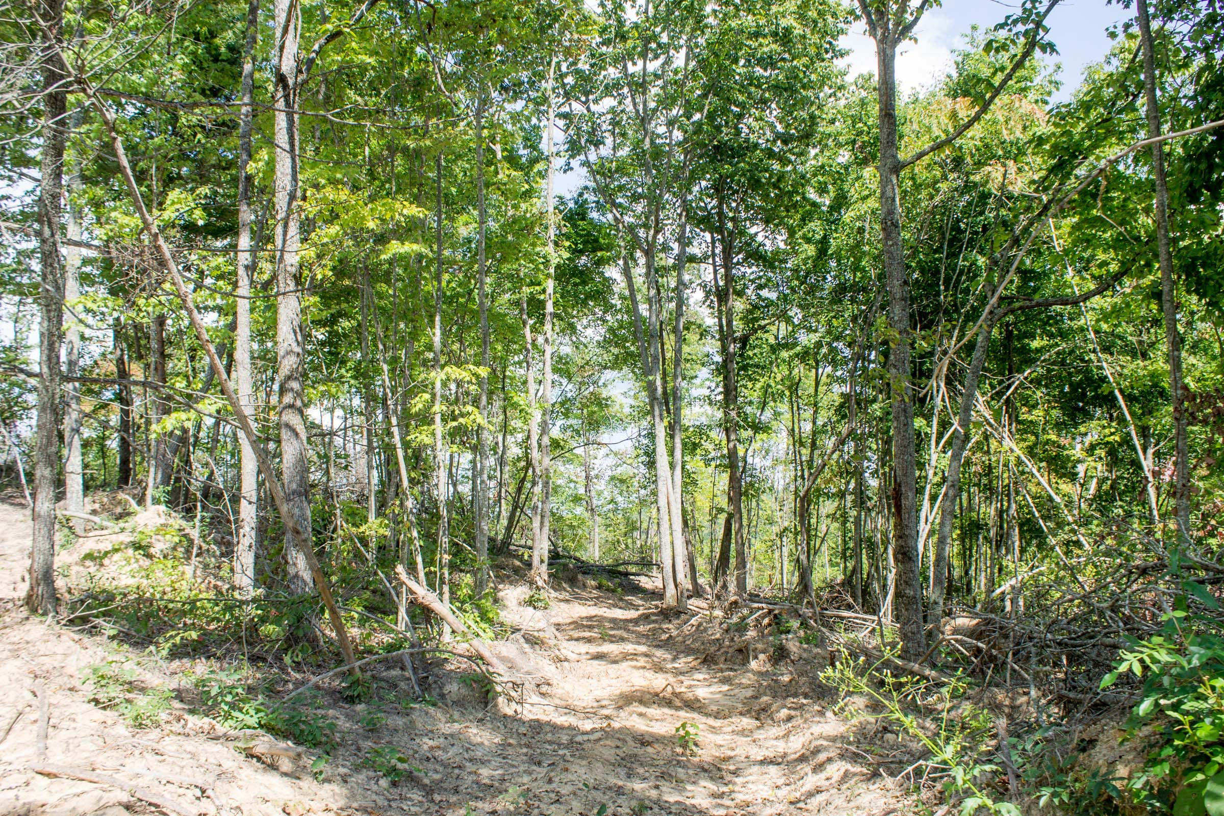Buck Run Ridge Tract 8 photo 9