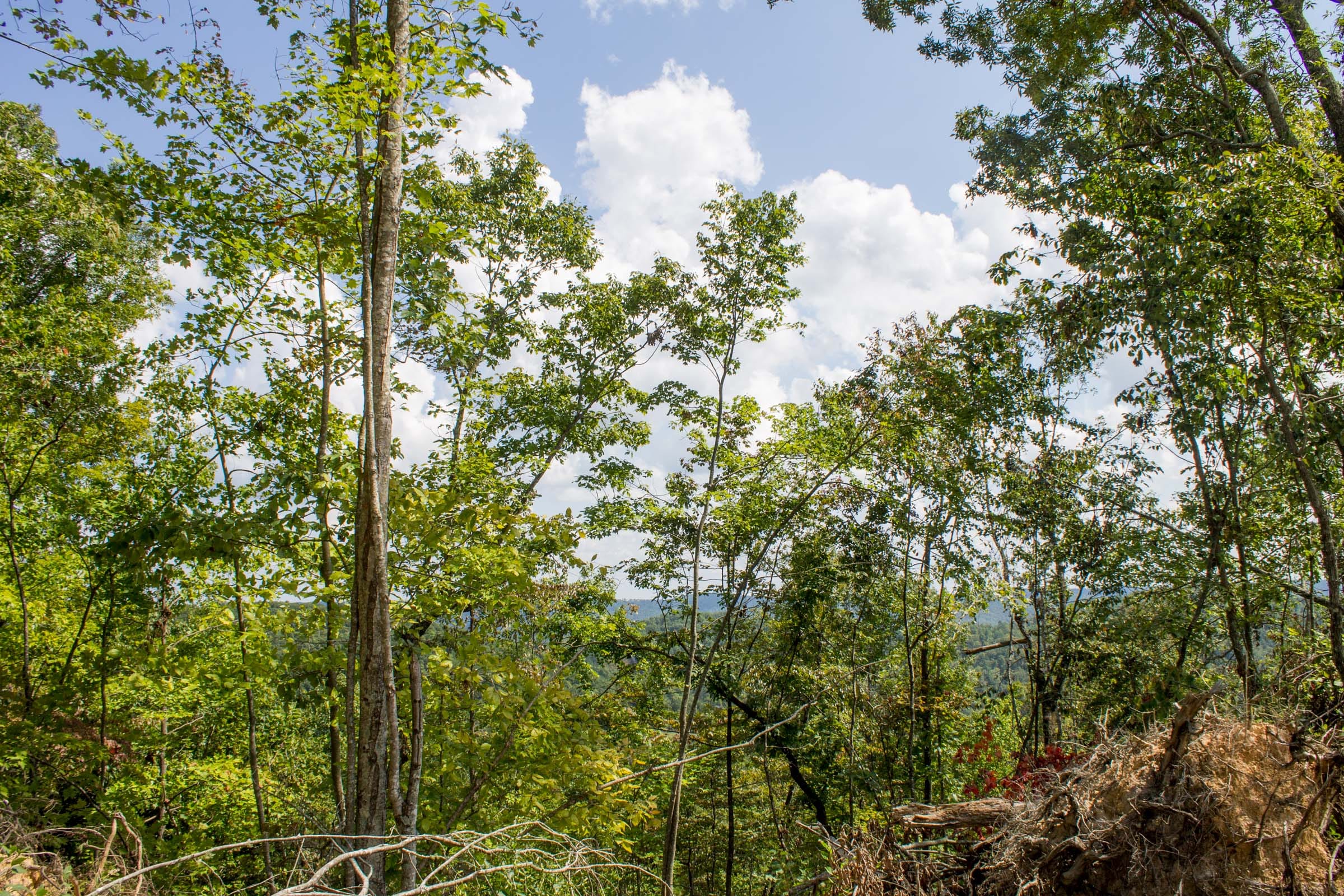 Buck Run Ridge Tract 8 photo 11