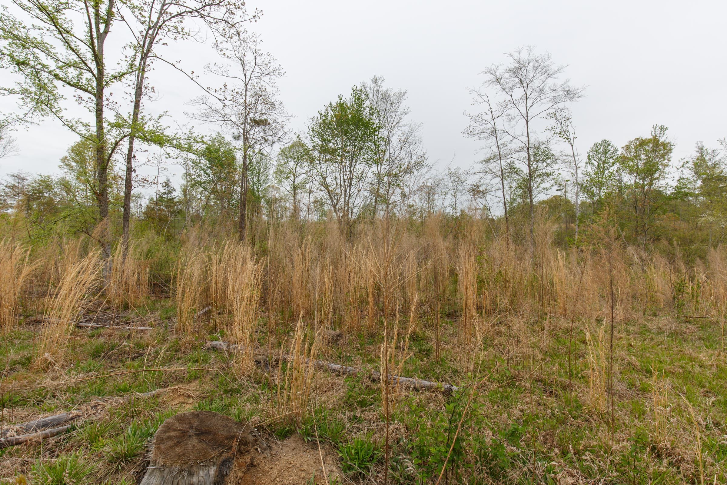 Twin Rivers Tract 19 photo 3