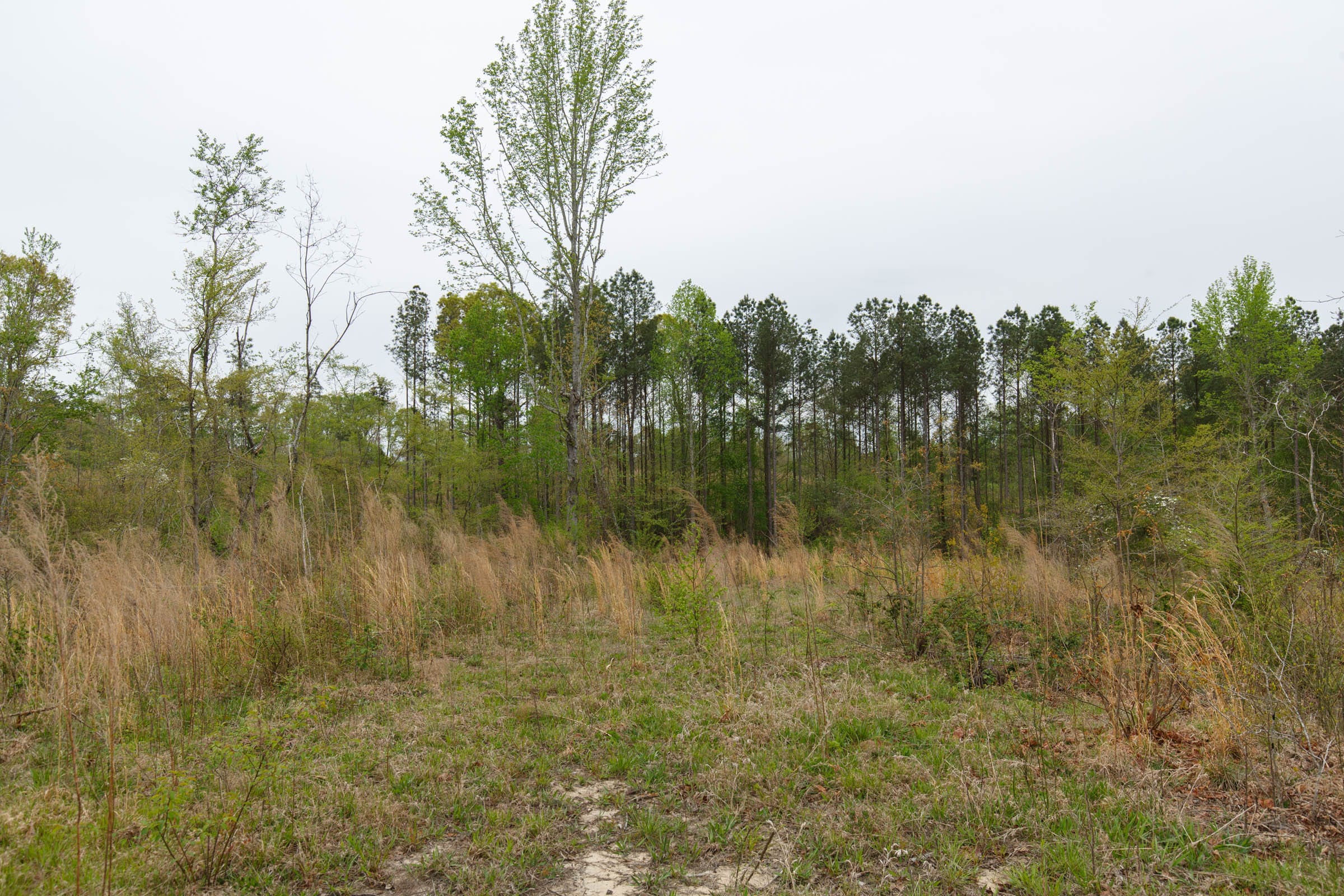 Twin Rivers Tract 19 photo 4