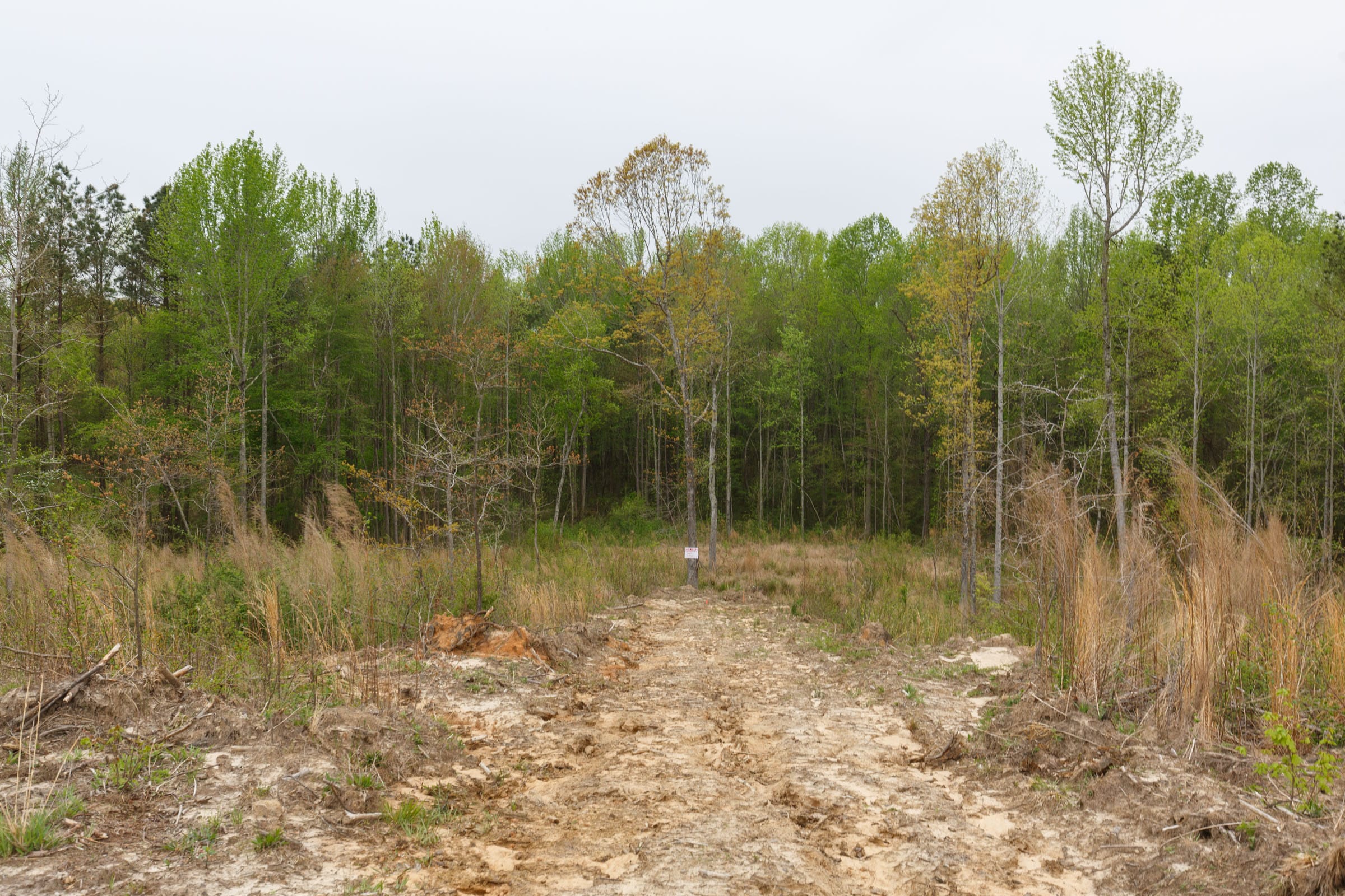 Twin Rivers Tract 19 photo 6