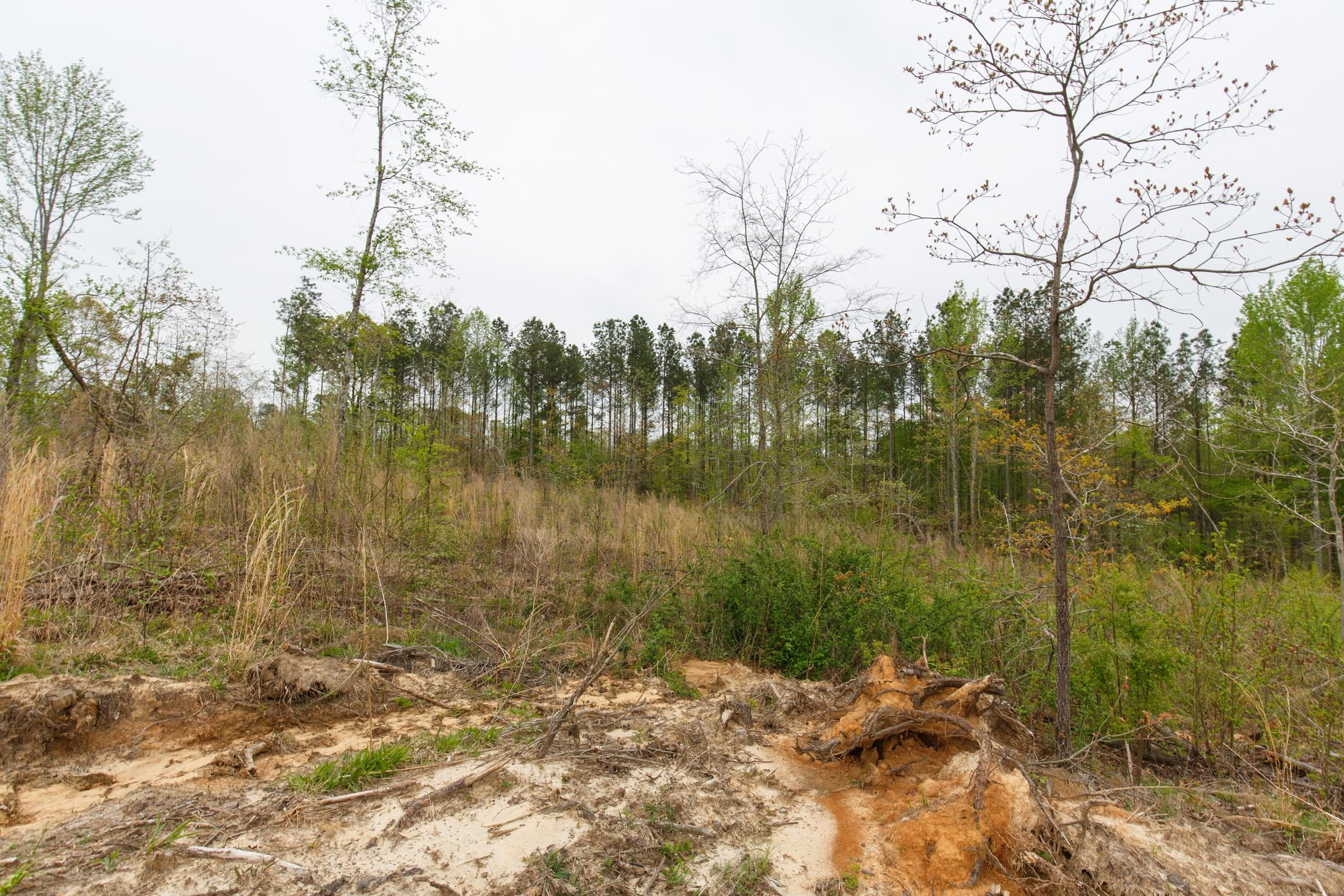 Twin Rivers Tract 19 photo 5