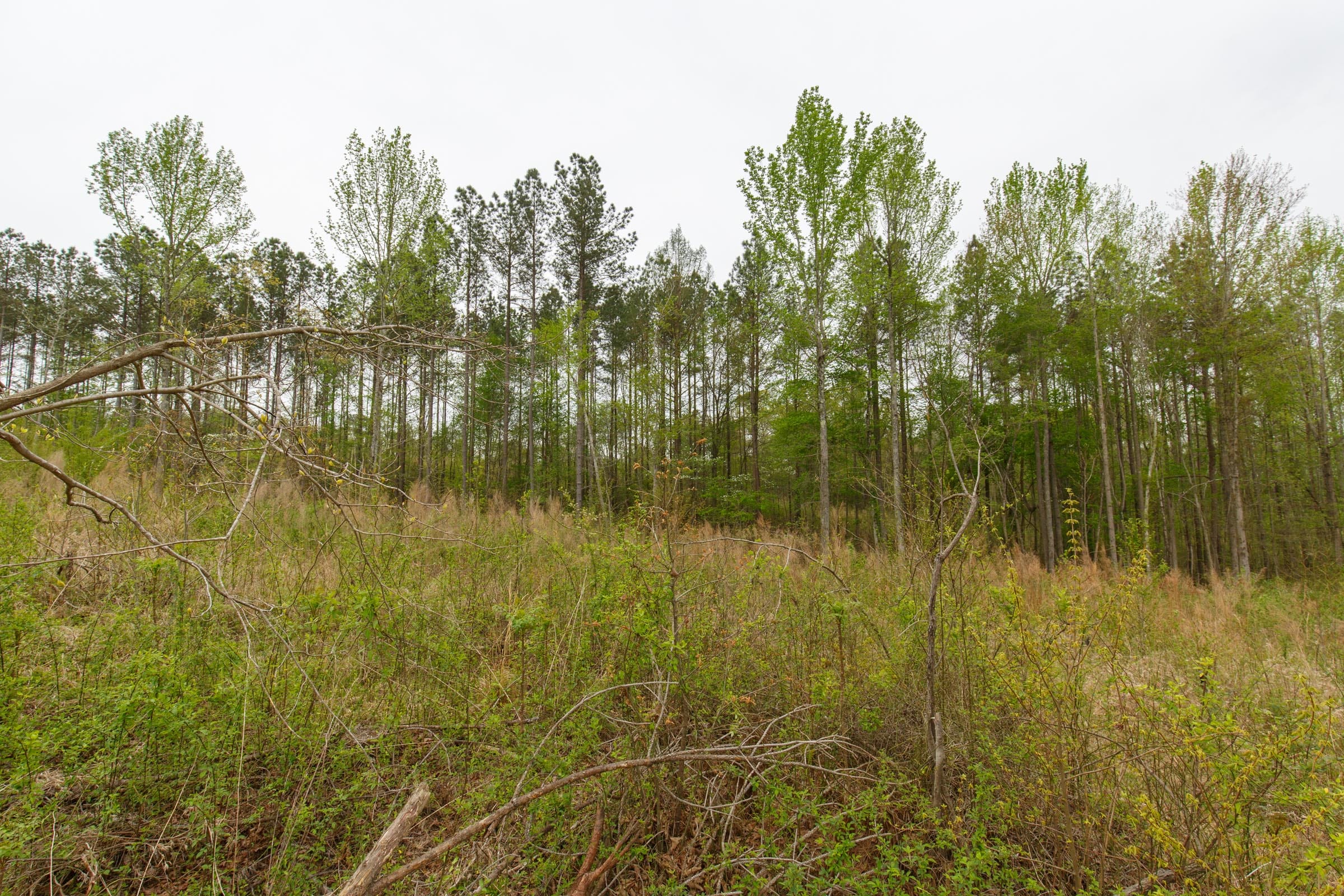 Twin Rivers Tract 19 photo 7