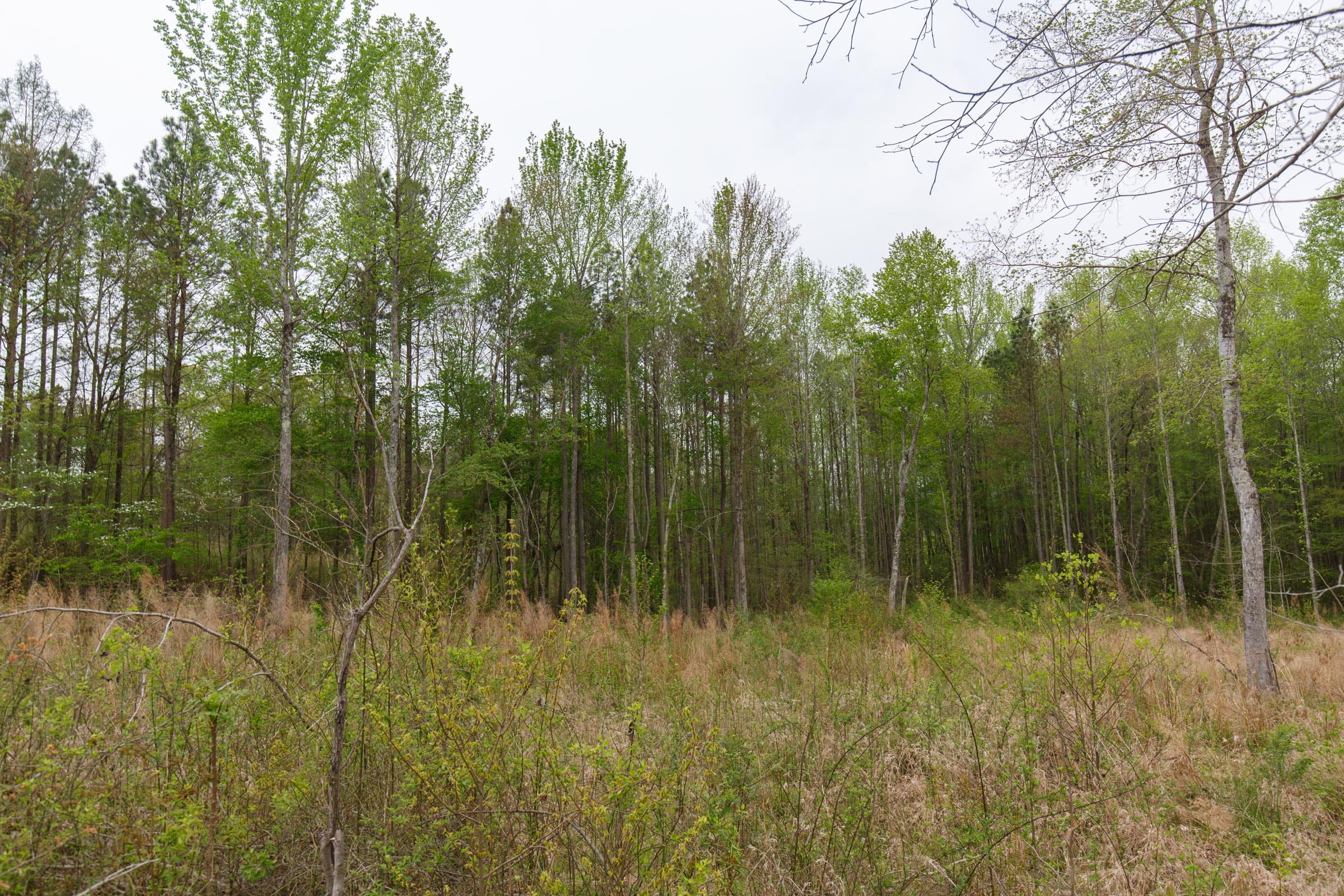 Twin Rivers Tract 19 photo 8