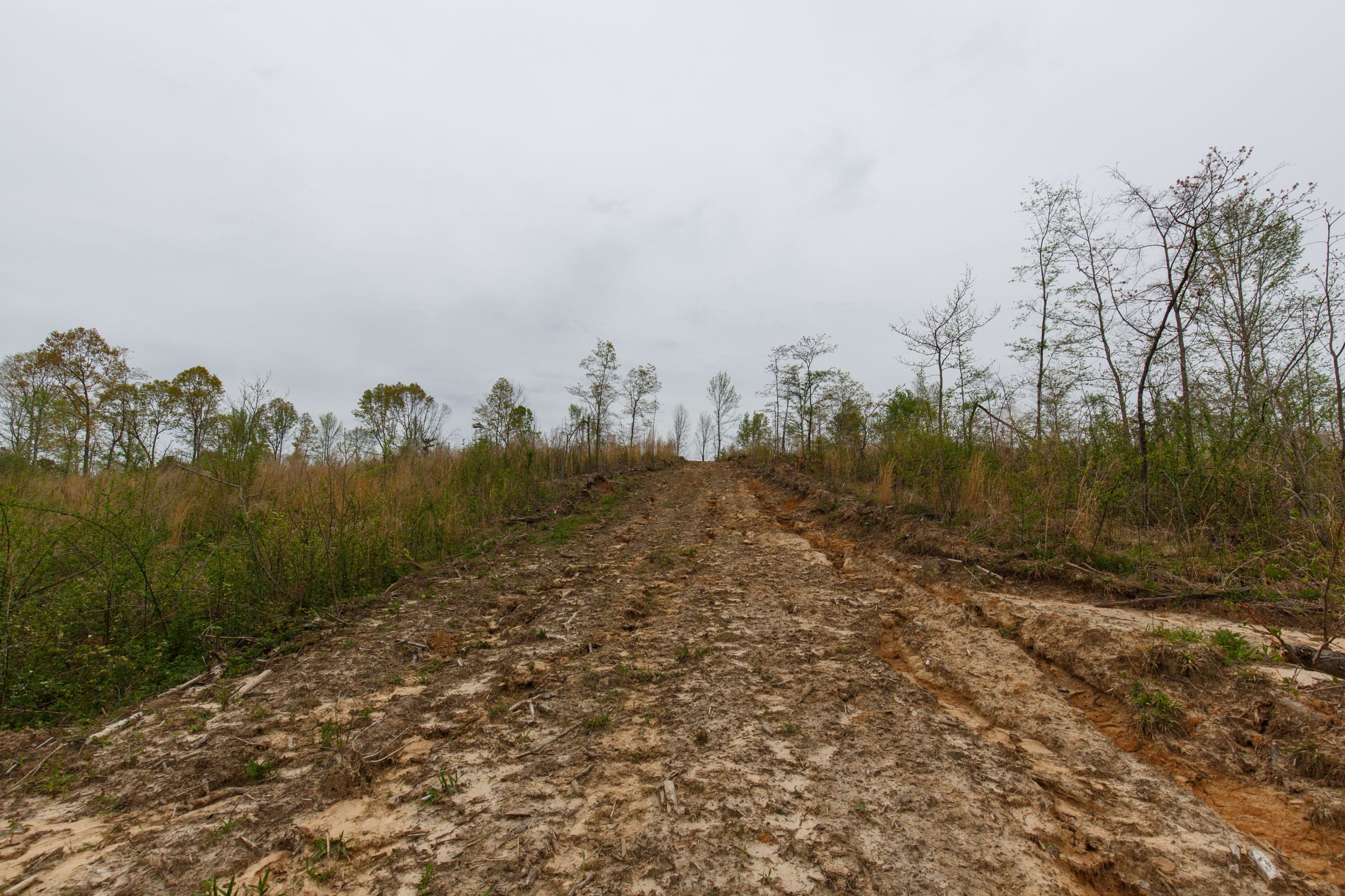 Twin Rivers Tract 19 photo 2