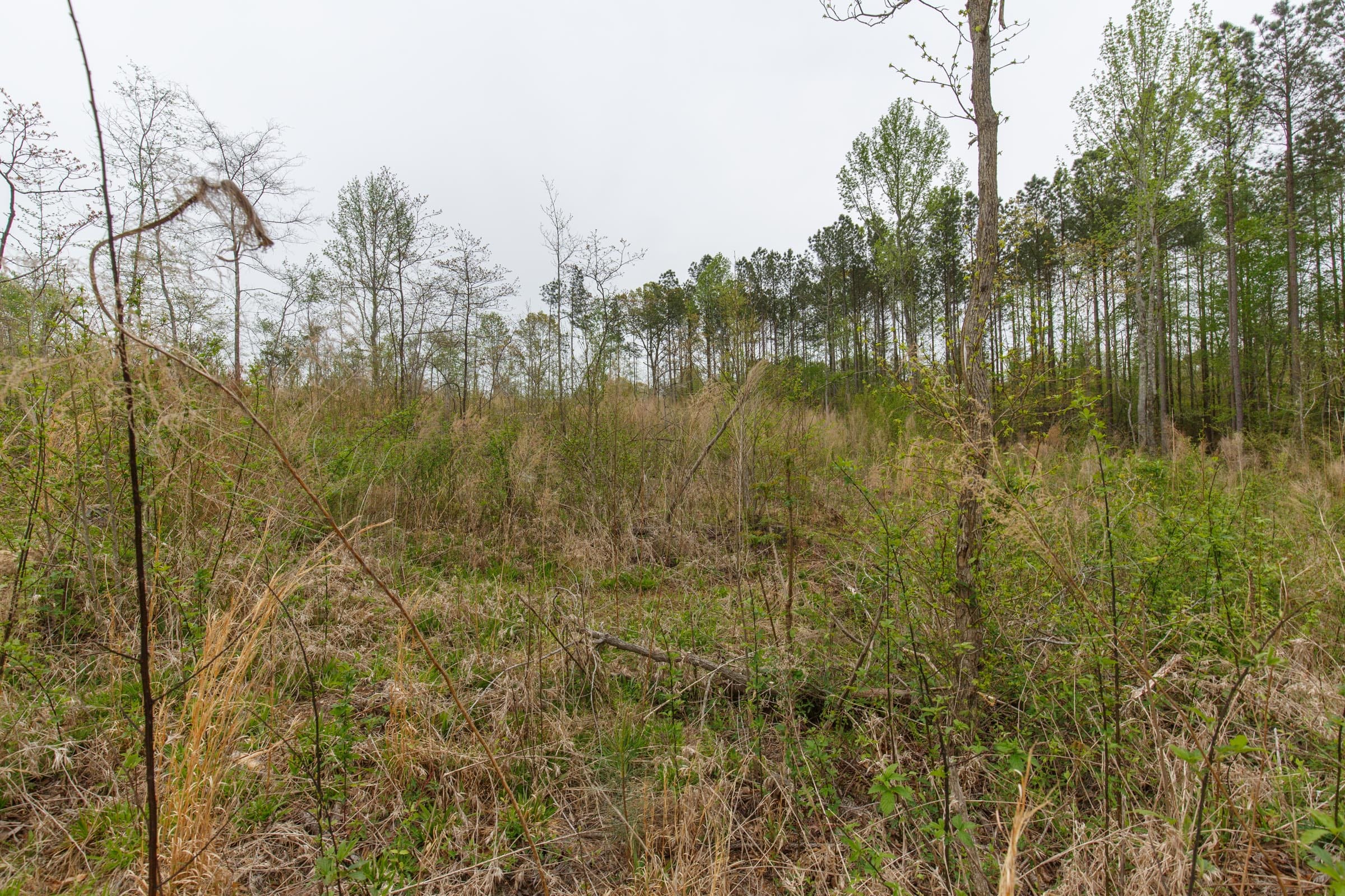 Twin Rivers Tract 19 photo 9