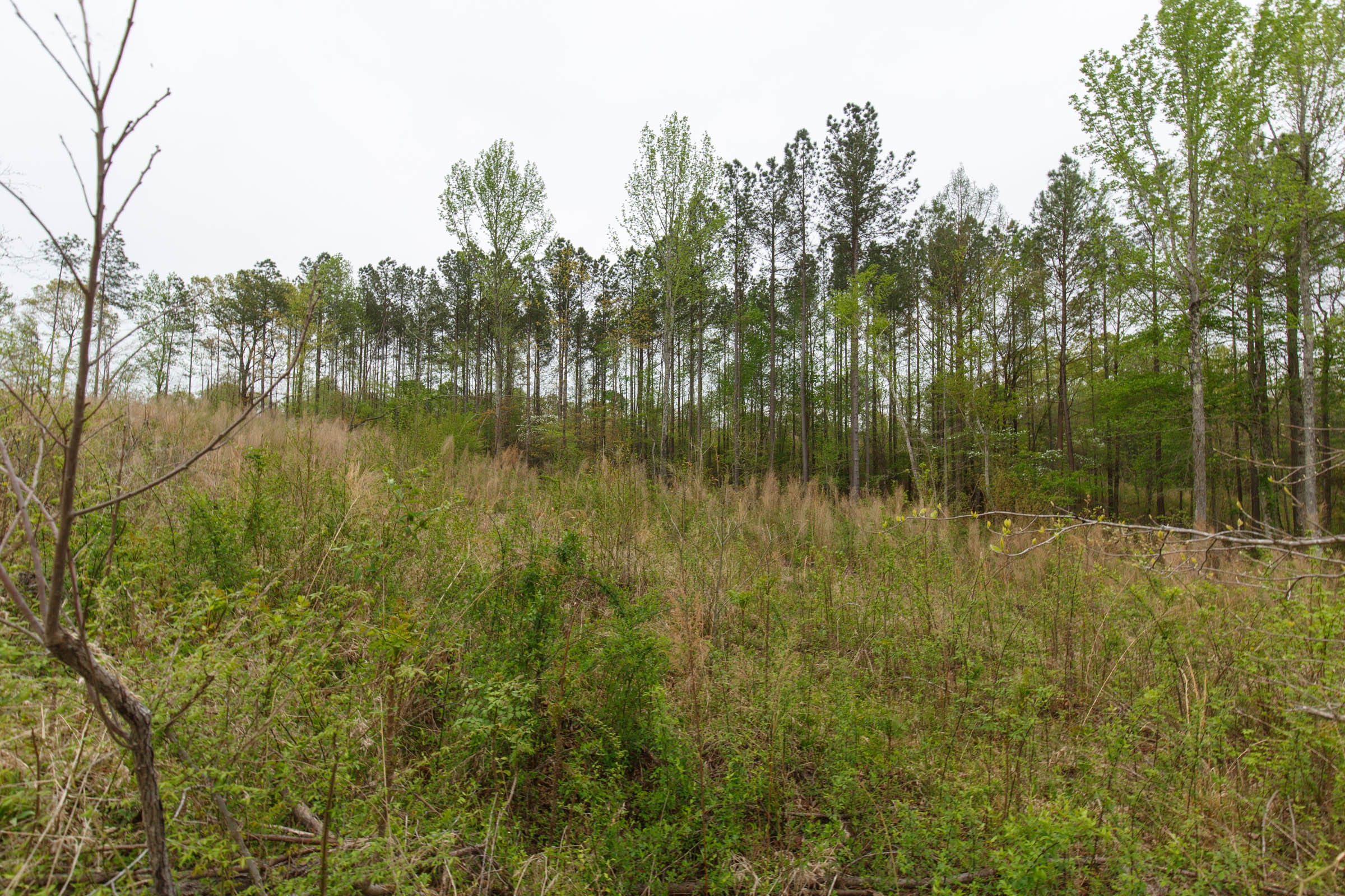 Twin Rivers Tract 19 photo 1