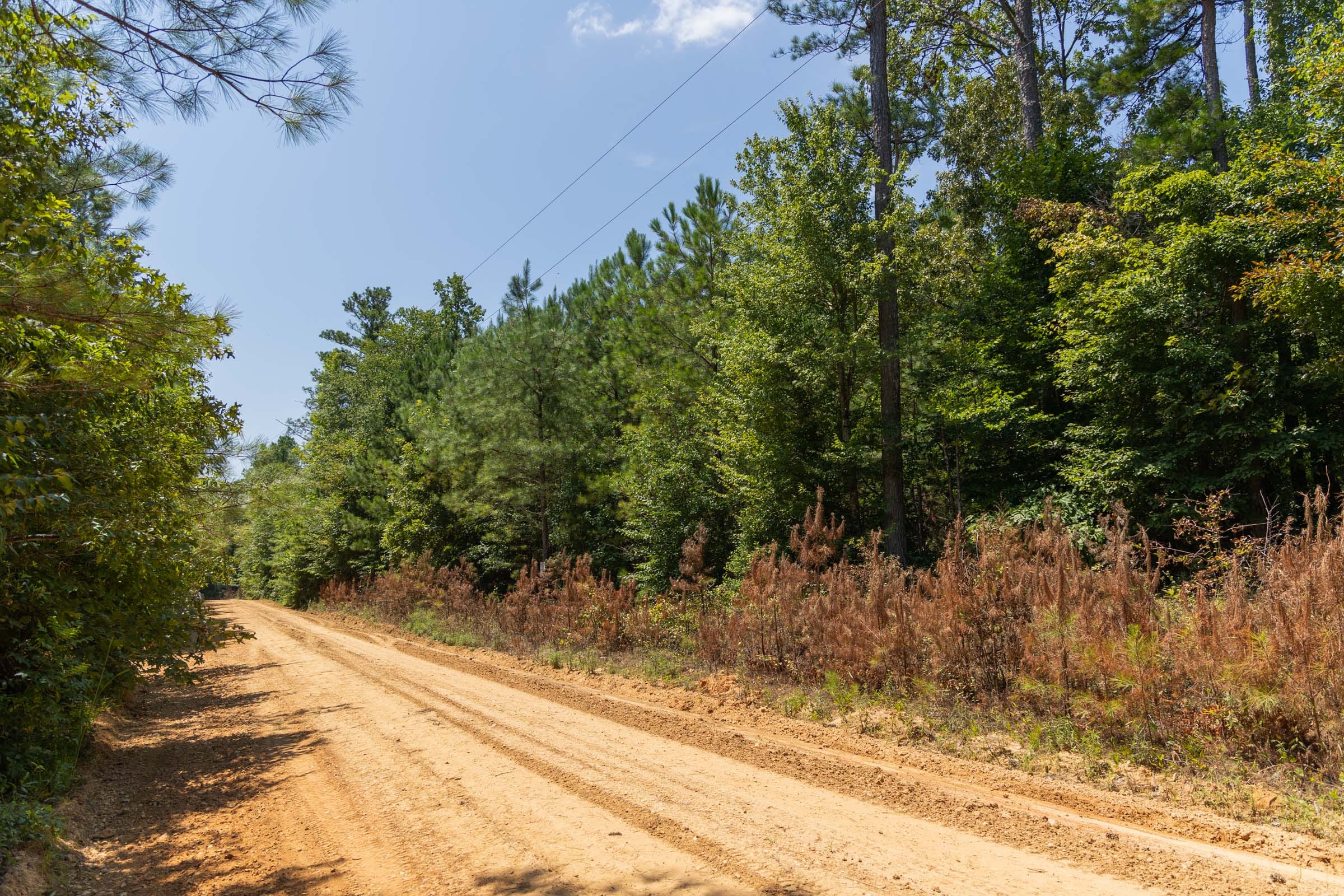 Olive Hill Tract 5 photo 3