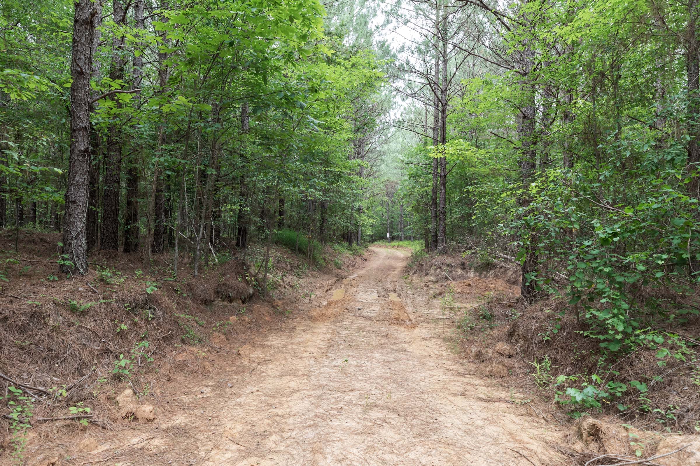 Whiskey Ridge Tract 18 photo 6