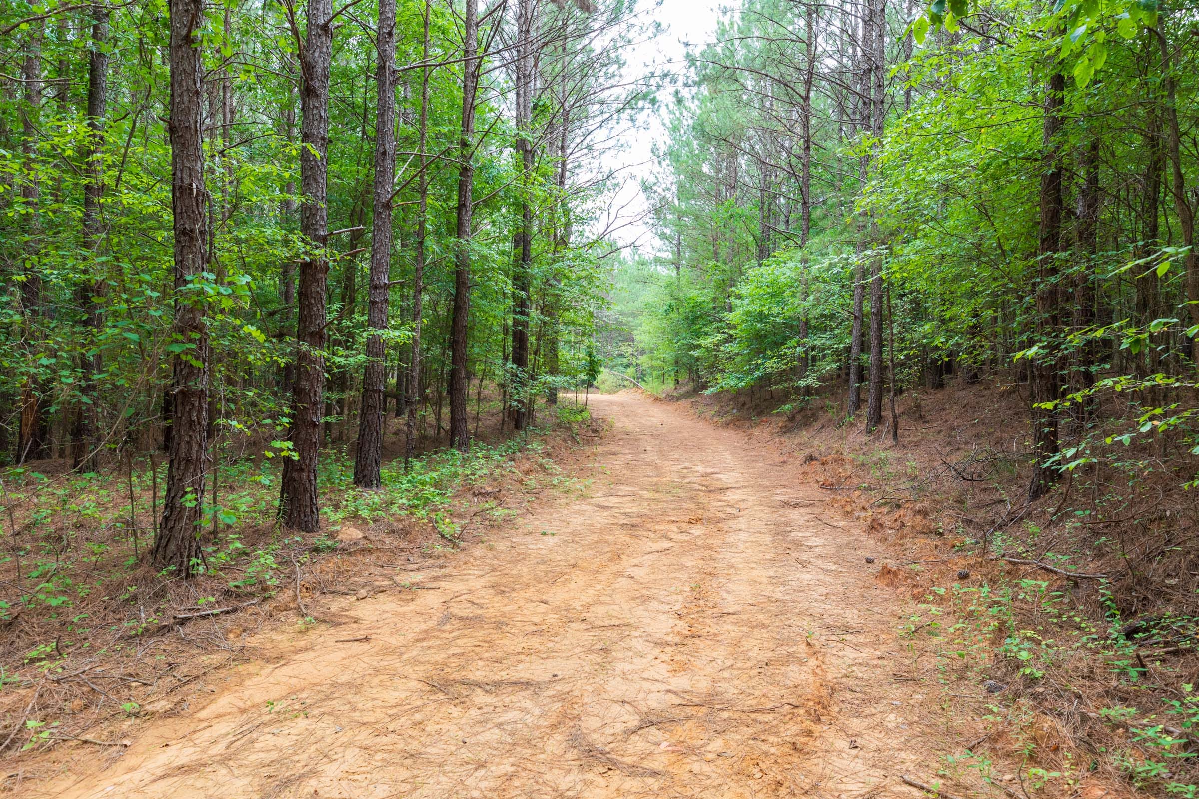 Whiskey Ridge Tract 18 photo 2