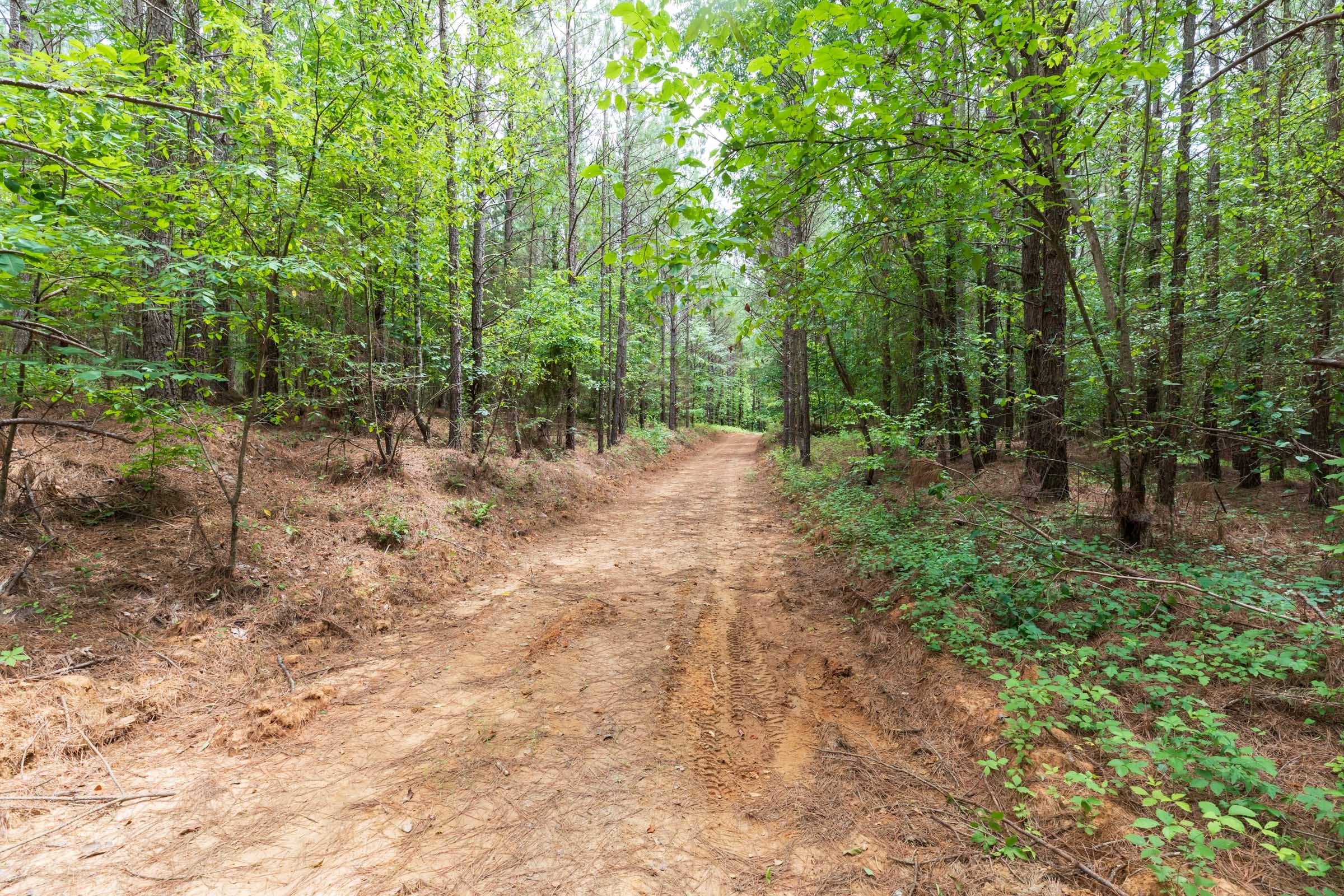Whiskey Ridge Tract 18 photo 11