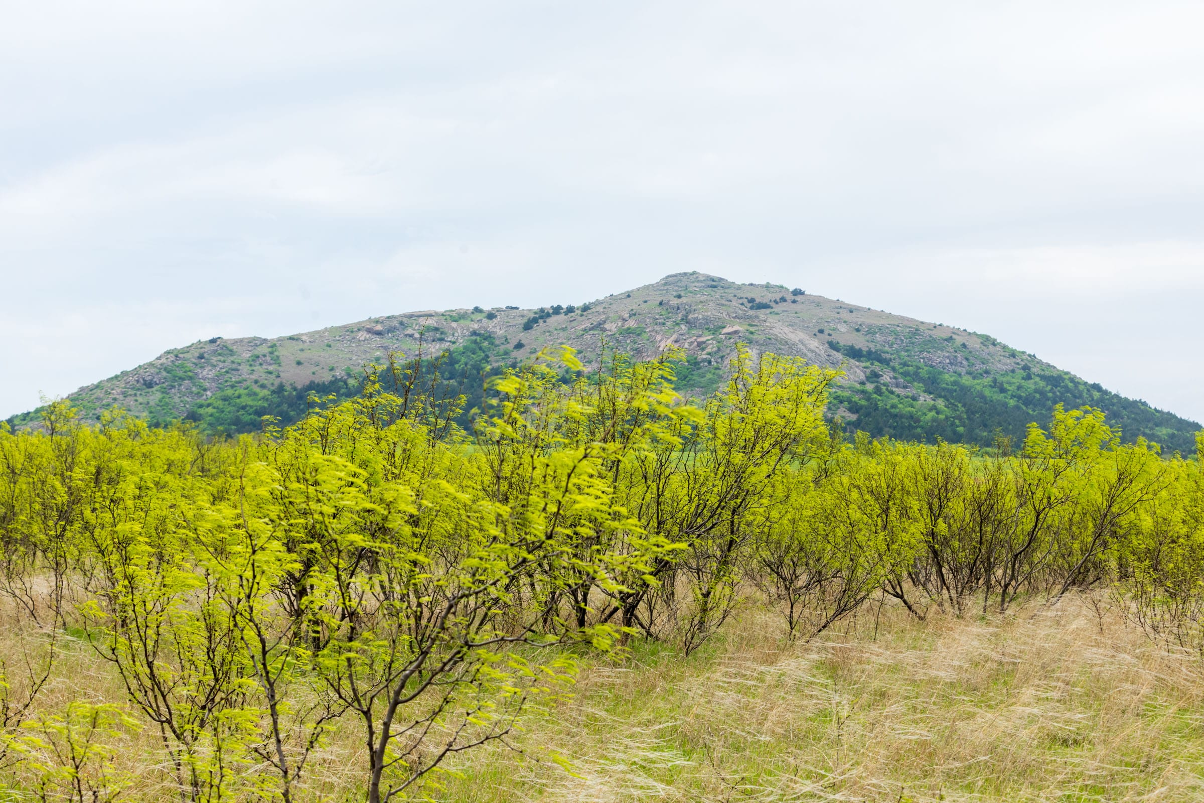 Granite Valley Tract 4 photo 10