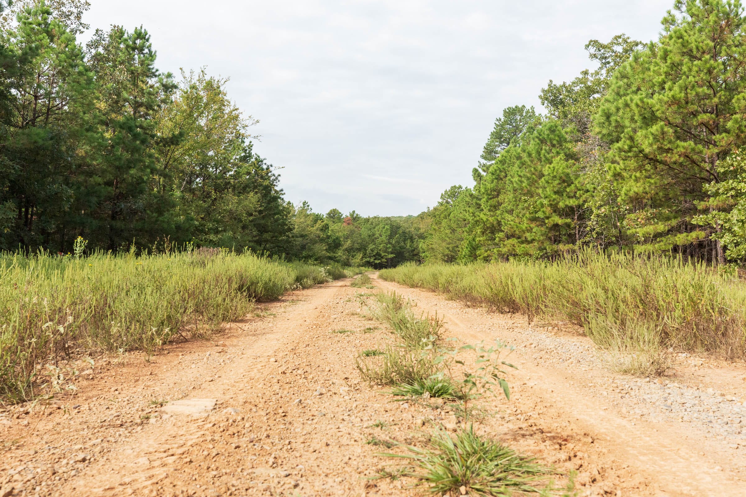 Stone Bridge Phase V Tract 388 photo 1