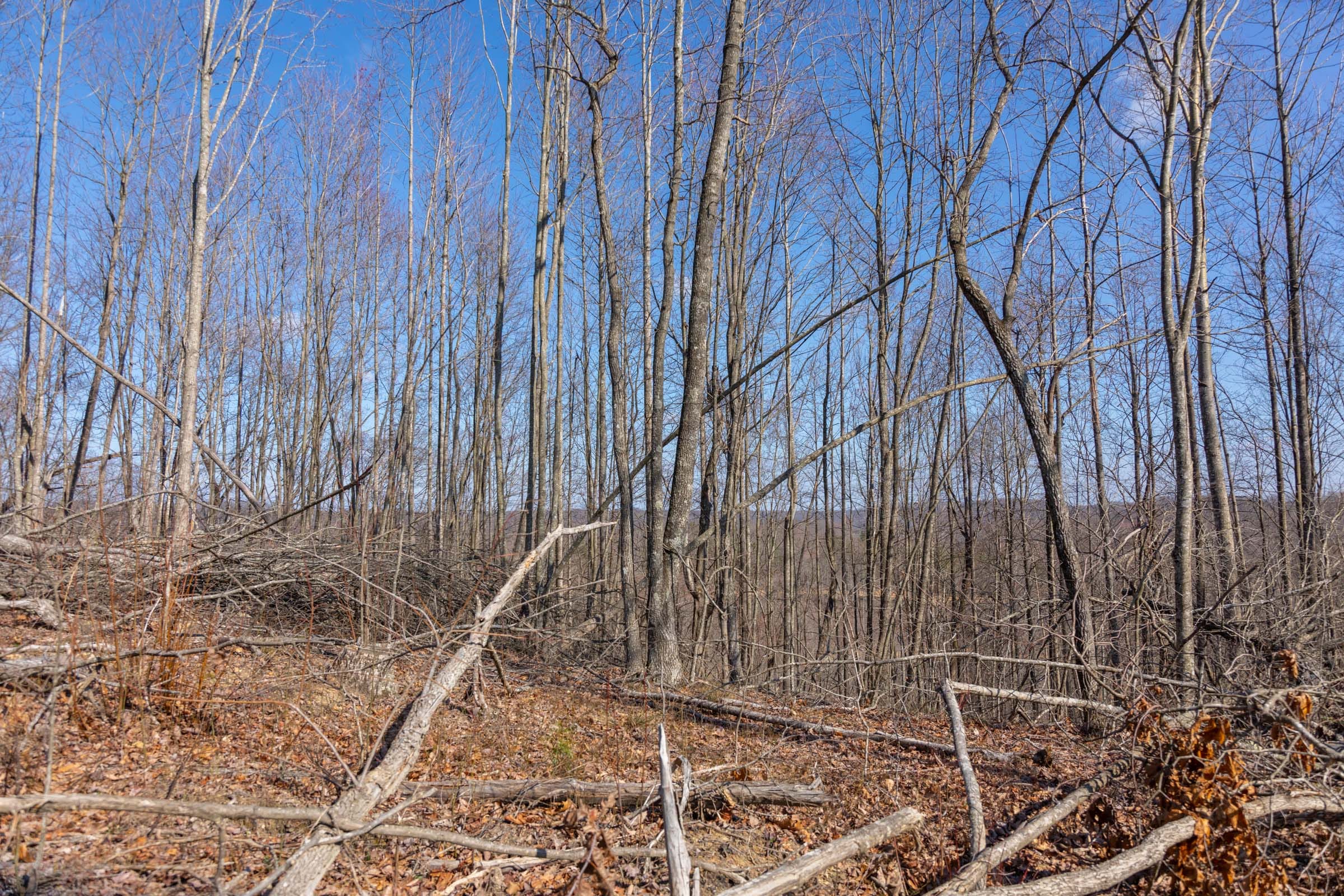 Creek Hollow Phase I Tract 9 photo 2