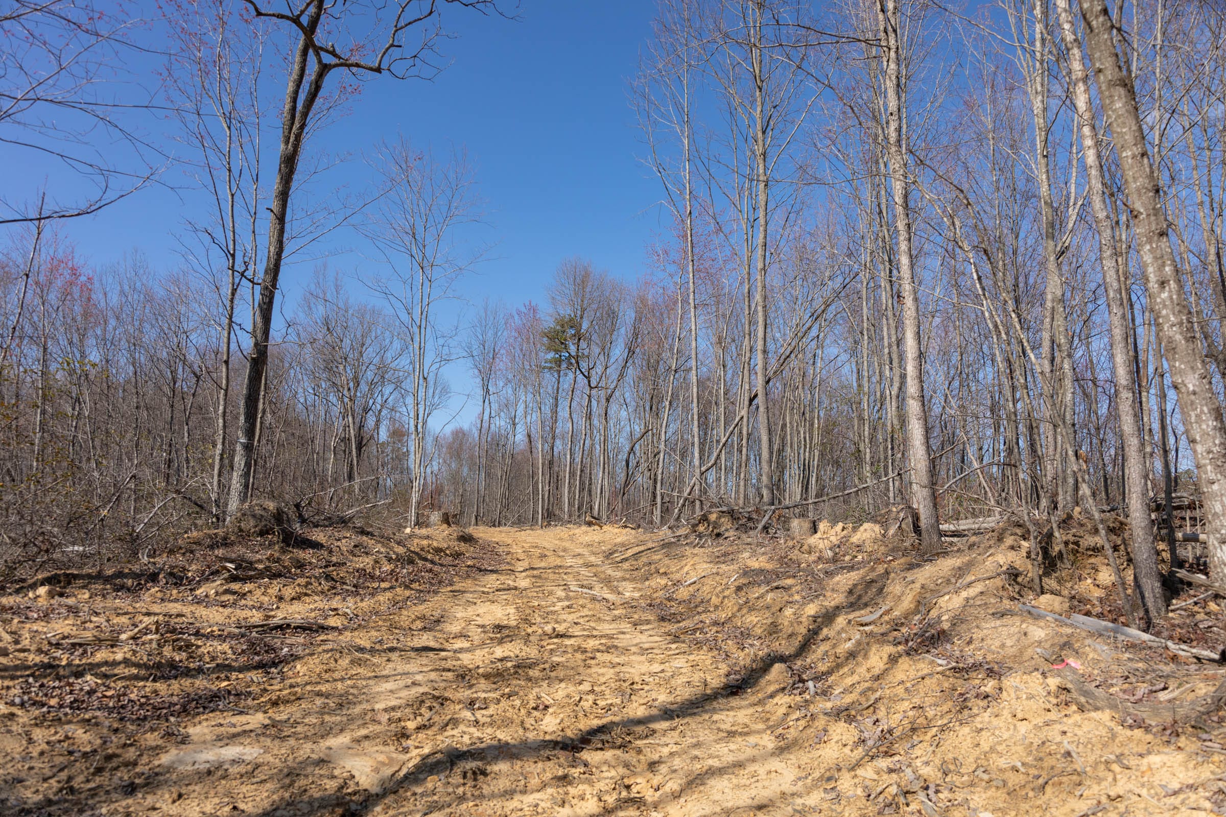 Creek Hollow Phase I Tract 9 photo 3
