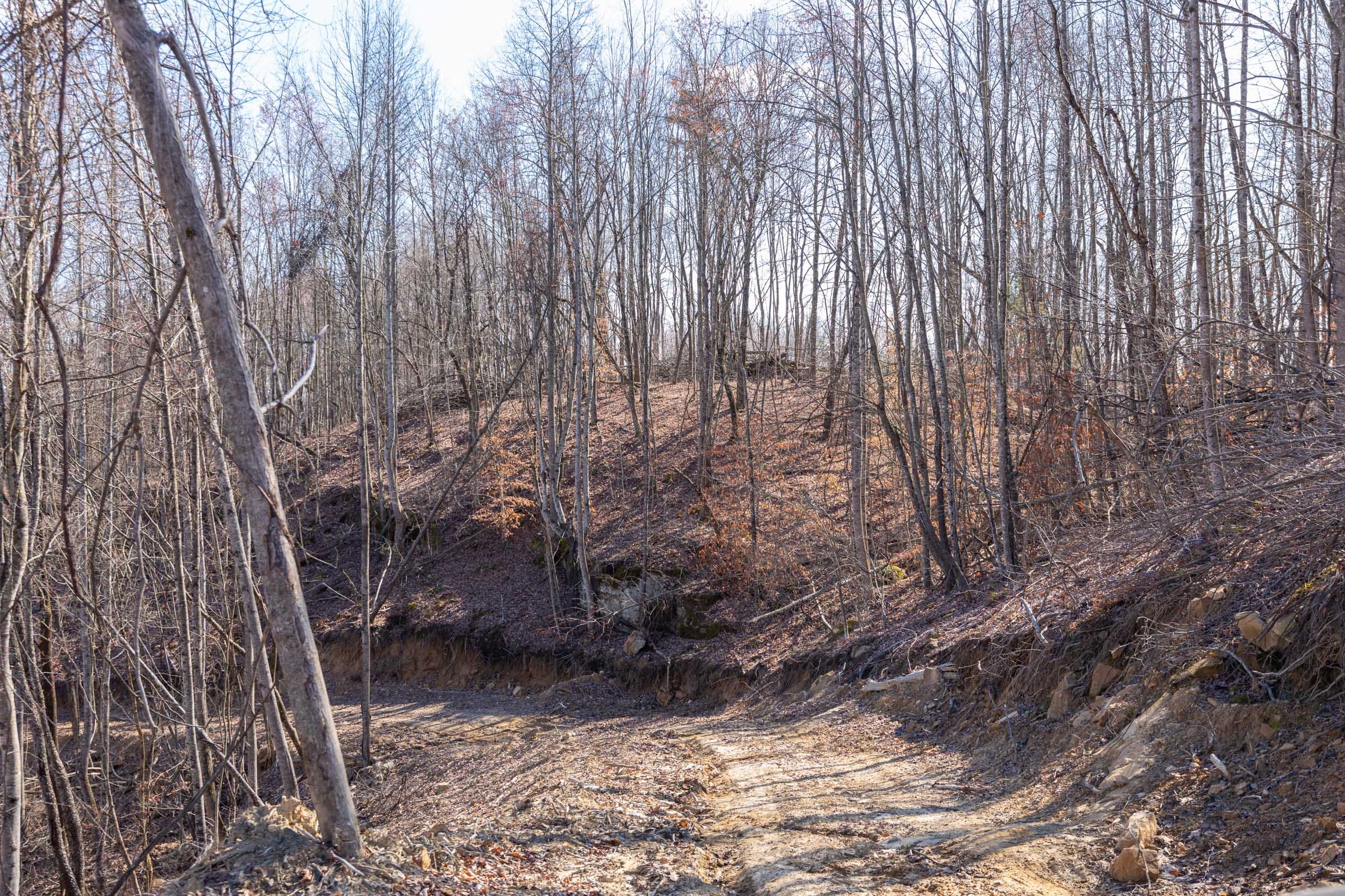 Creek Hollow Phase I Tract 9 photo 5